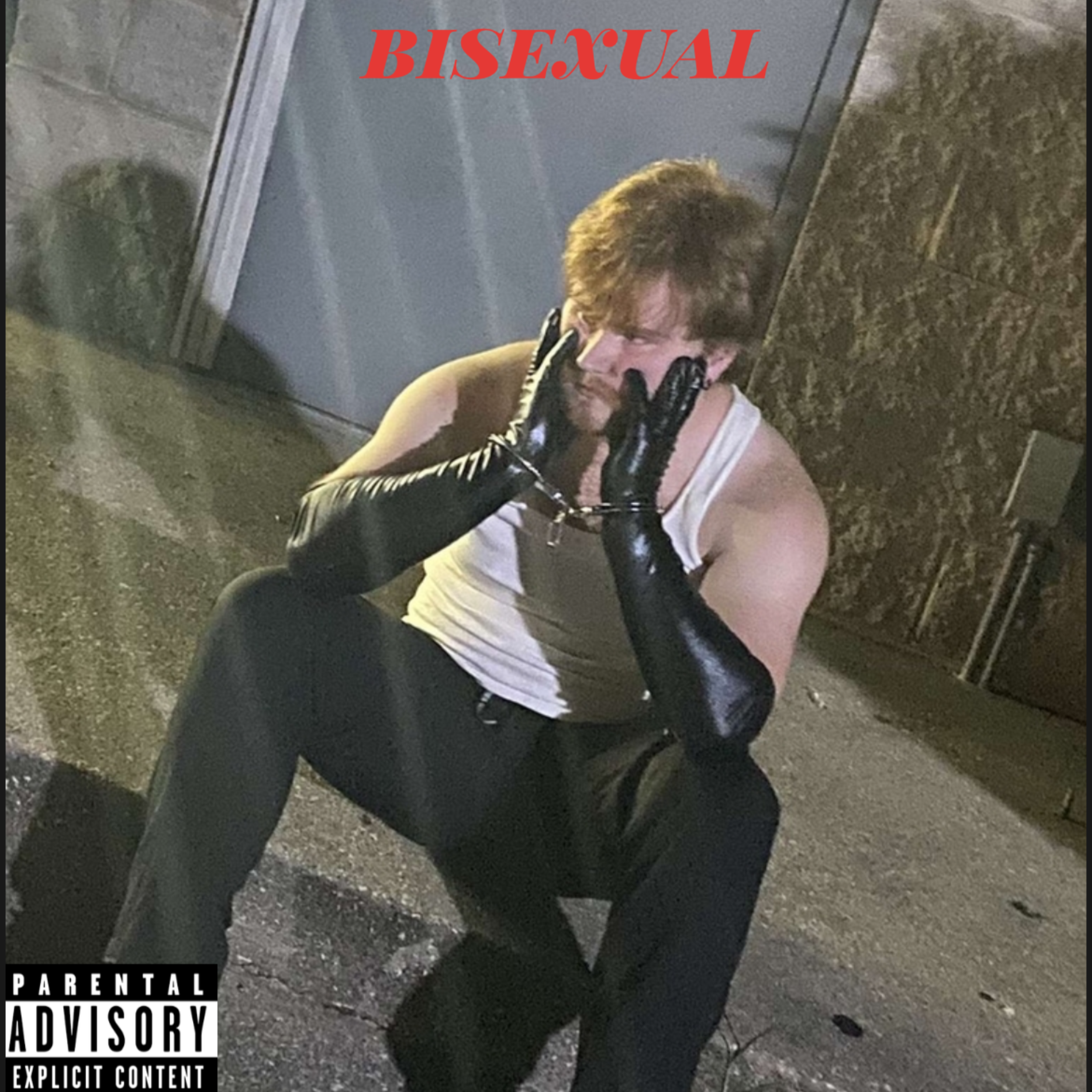 bisexual artwork