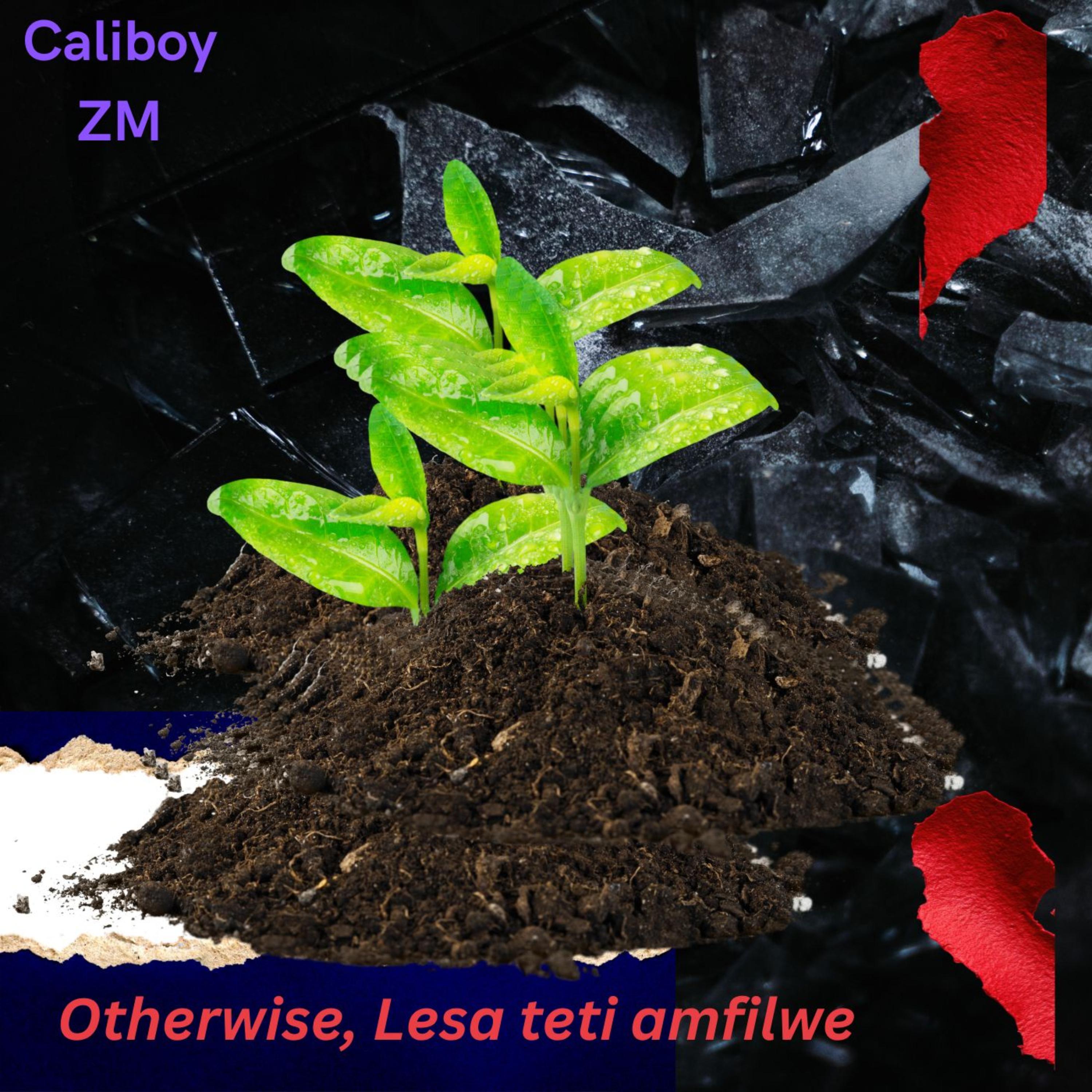 Otherwise Lesa teti amfilwe by Caliboy ZM cover art
