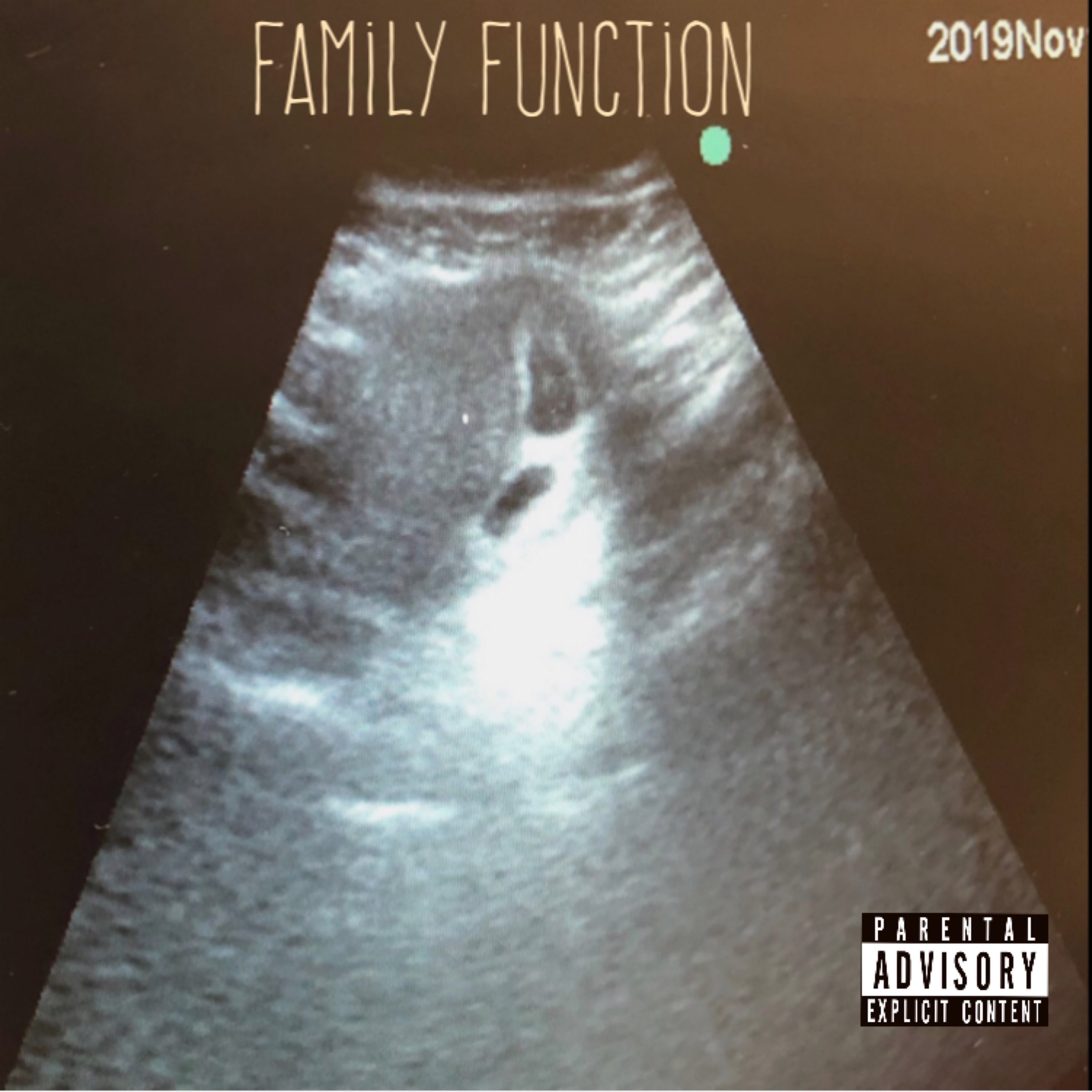 Family Function artwork