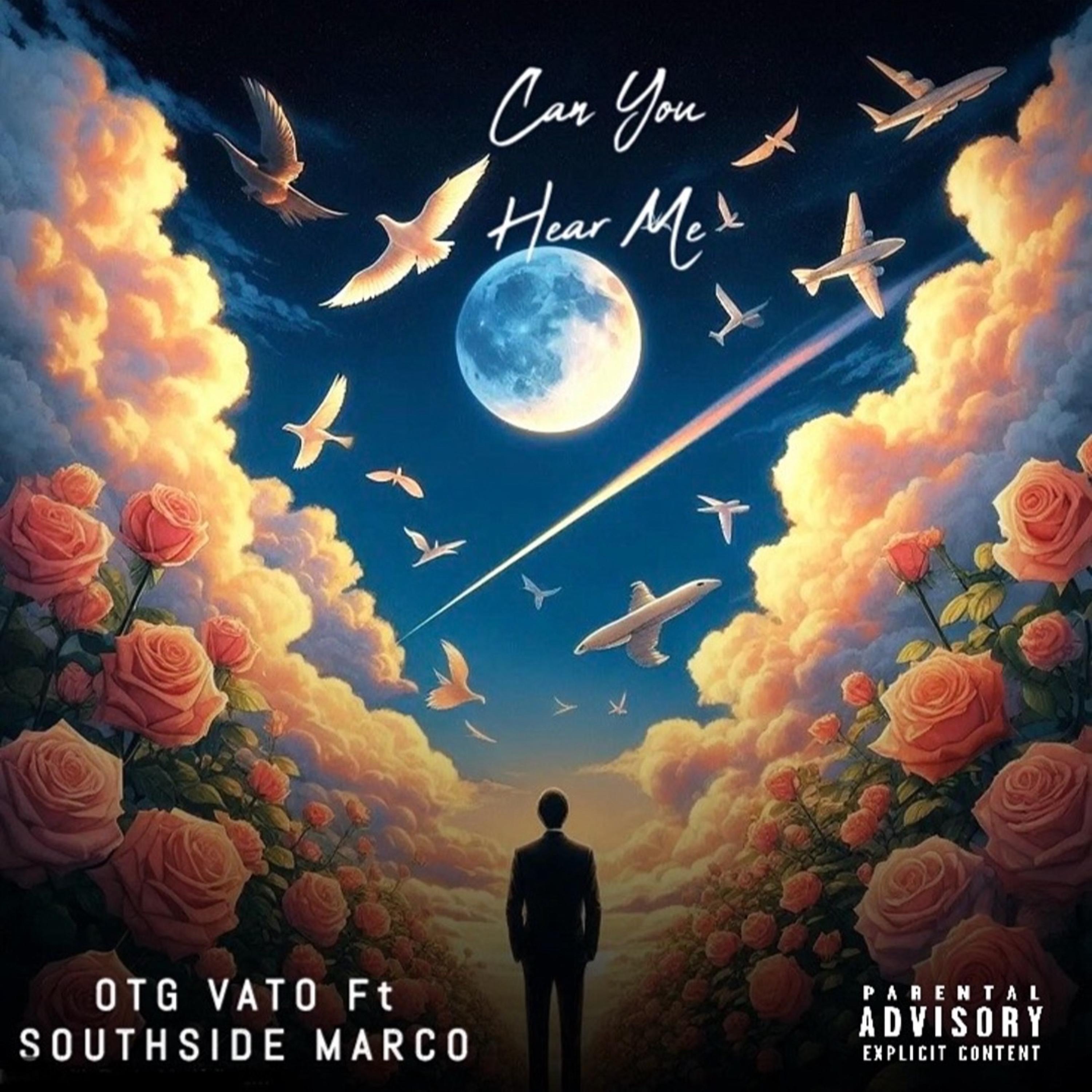 Can You Hear Me artwork