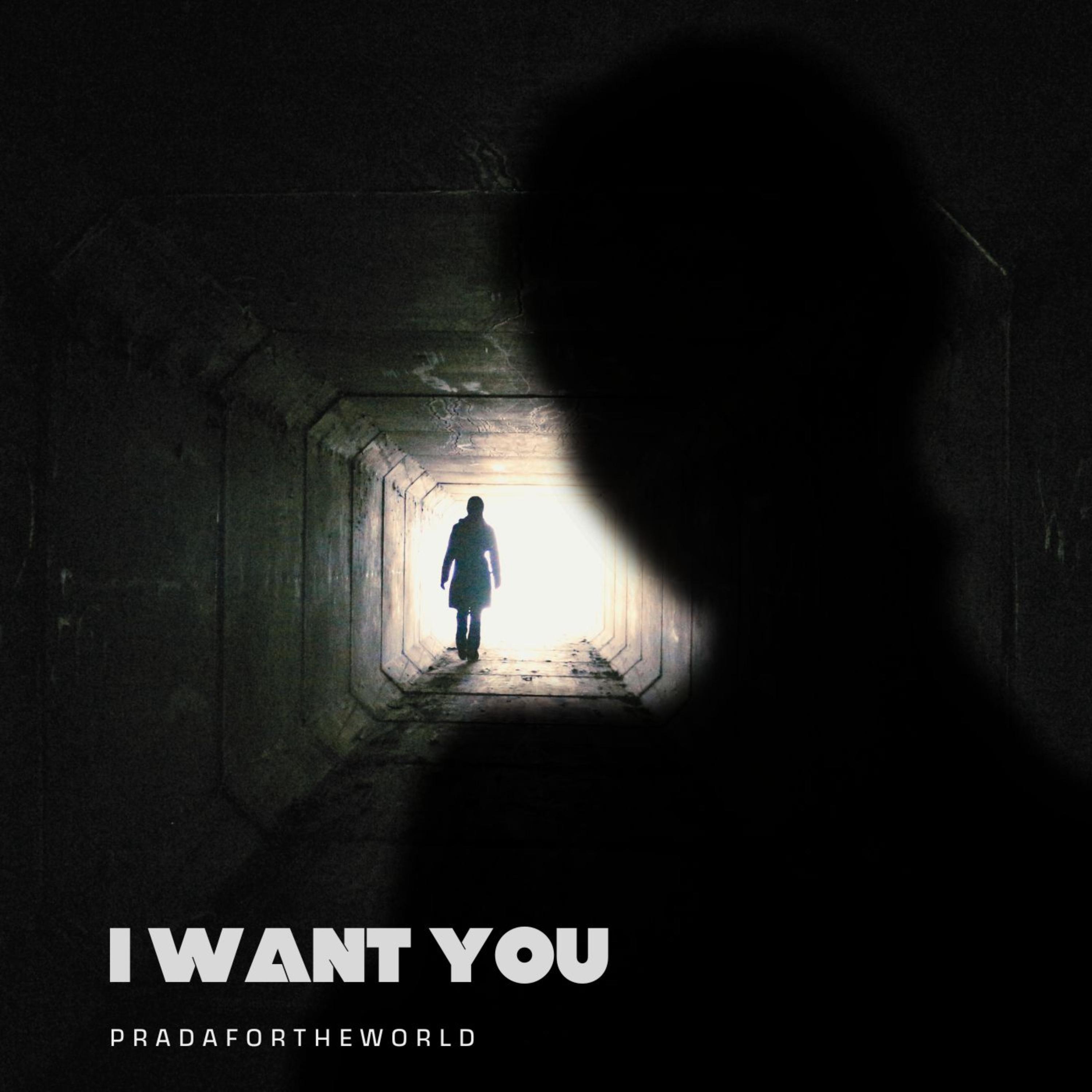I WANT YOU artwork