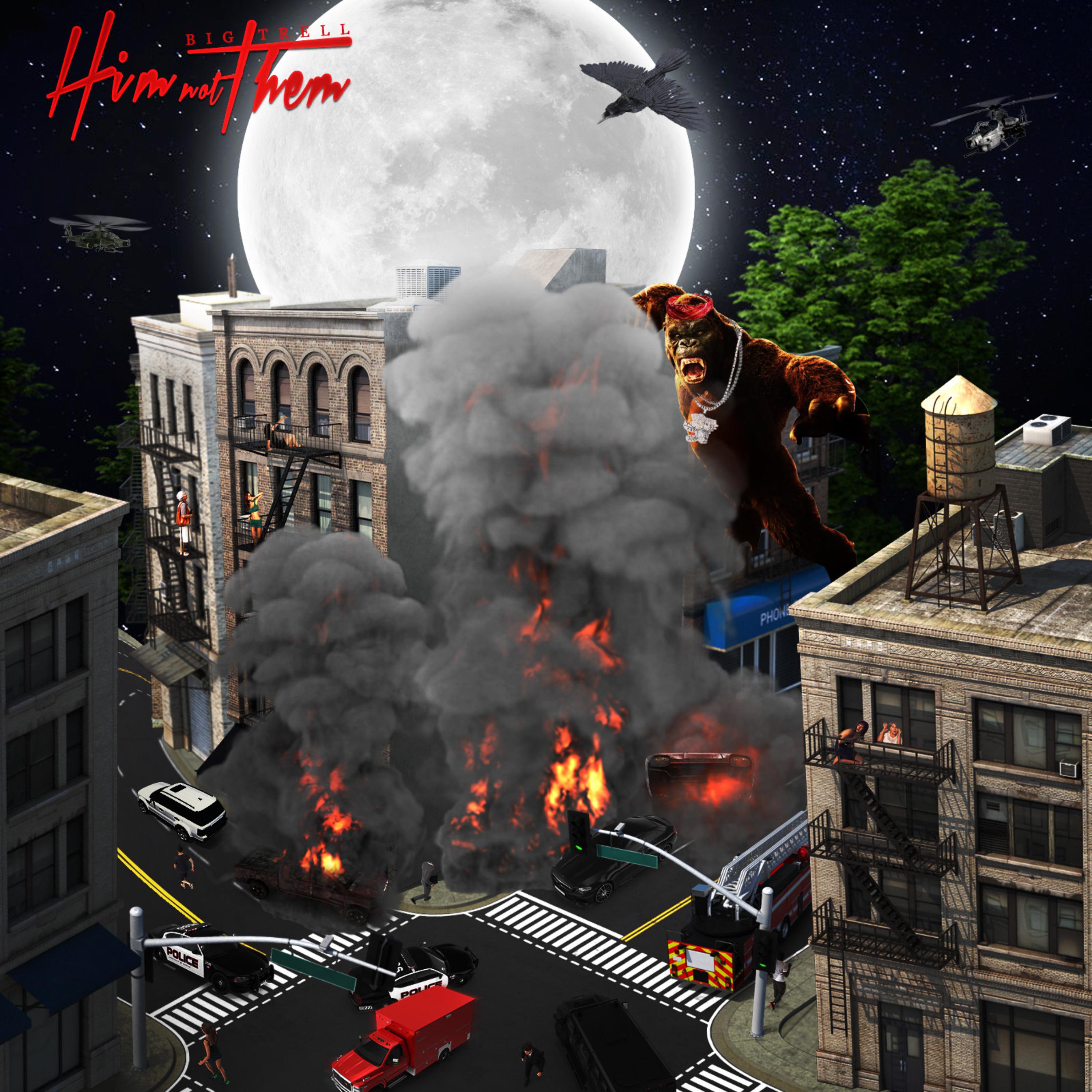 Him Not Them artwork