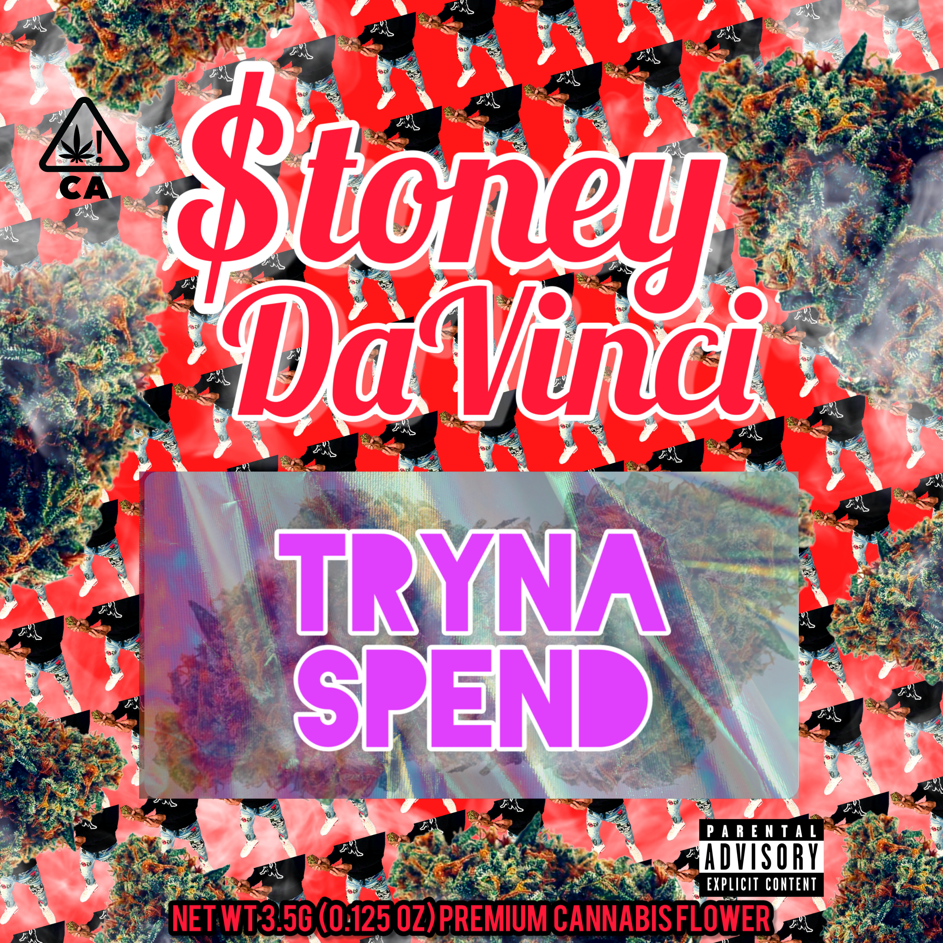 Tryna Spend artwork