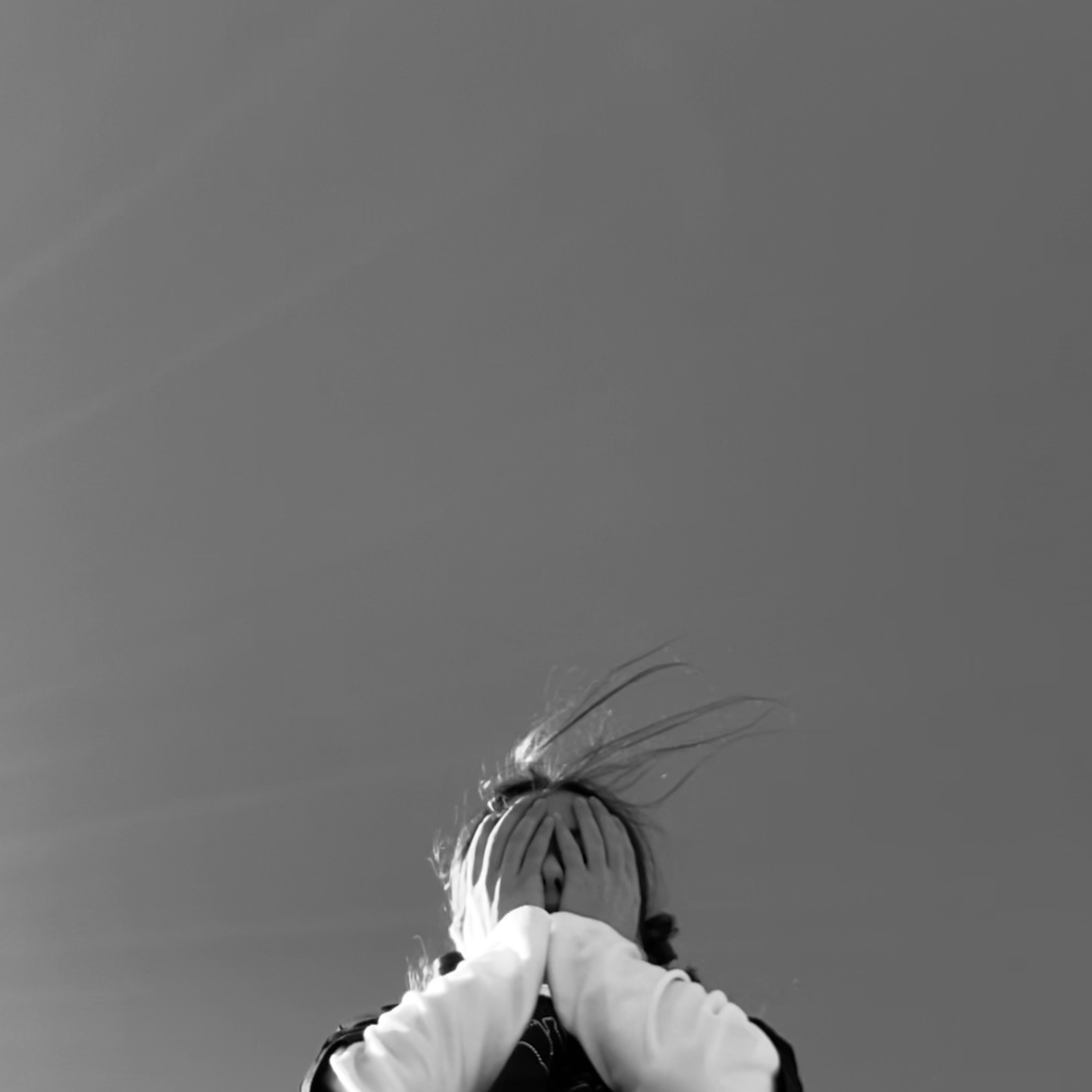 Sane artwork