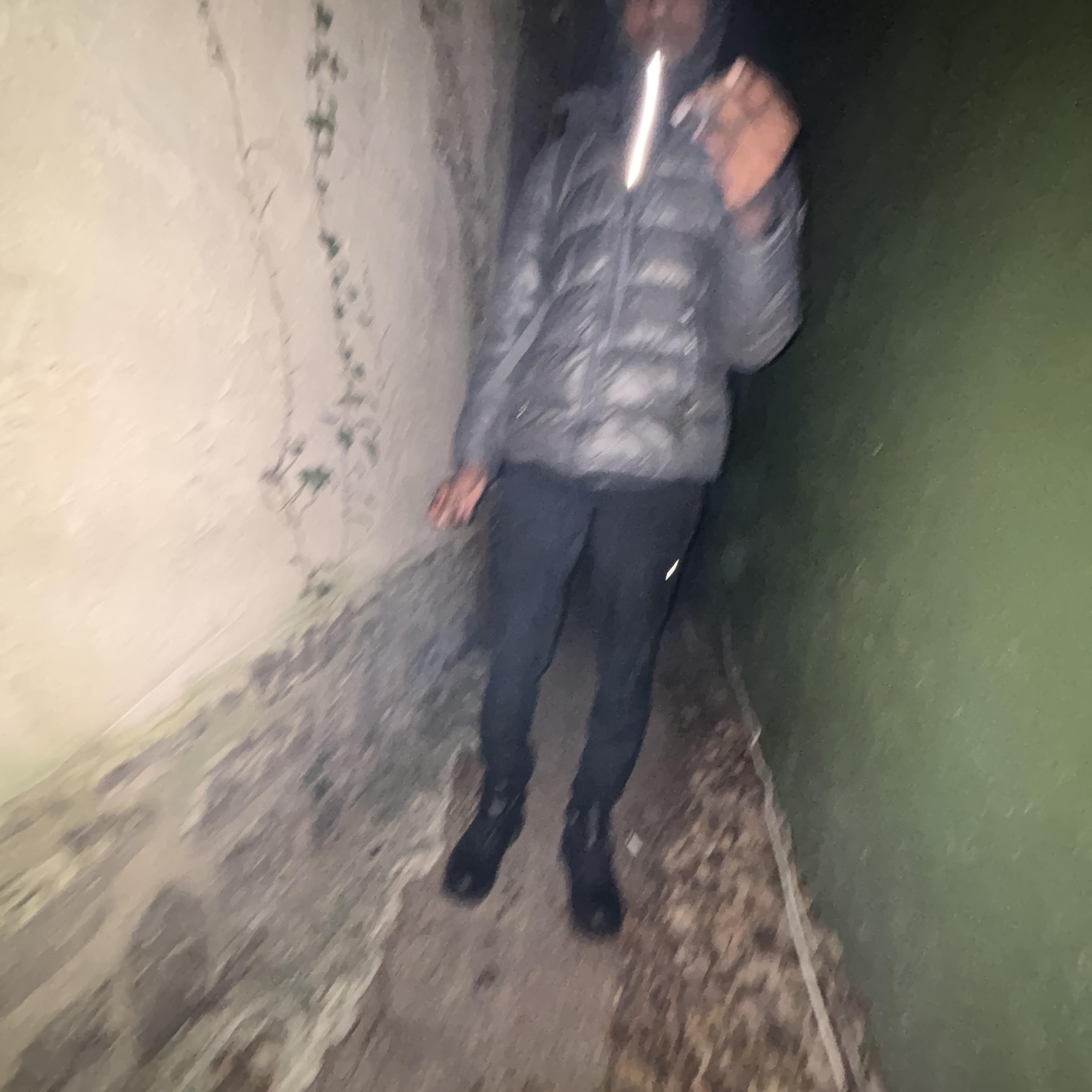 Make shit shake artwork
