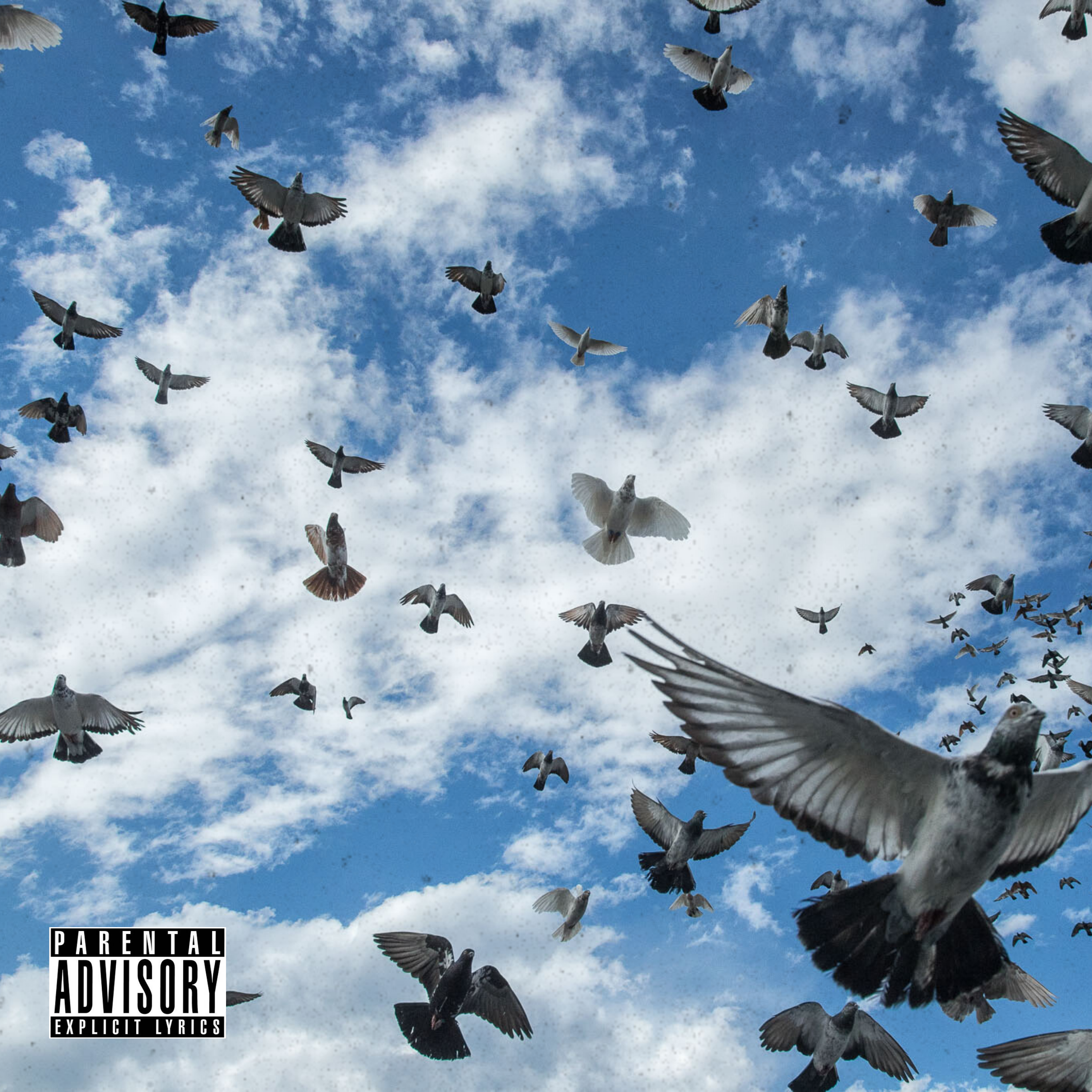 Pigeons And Planes artwork
