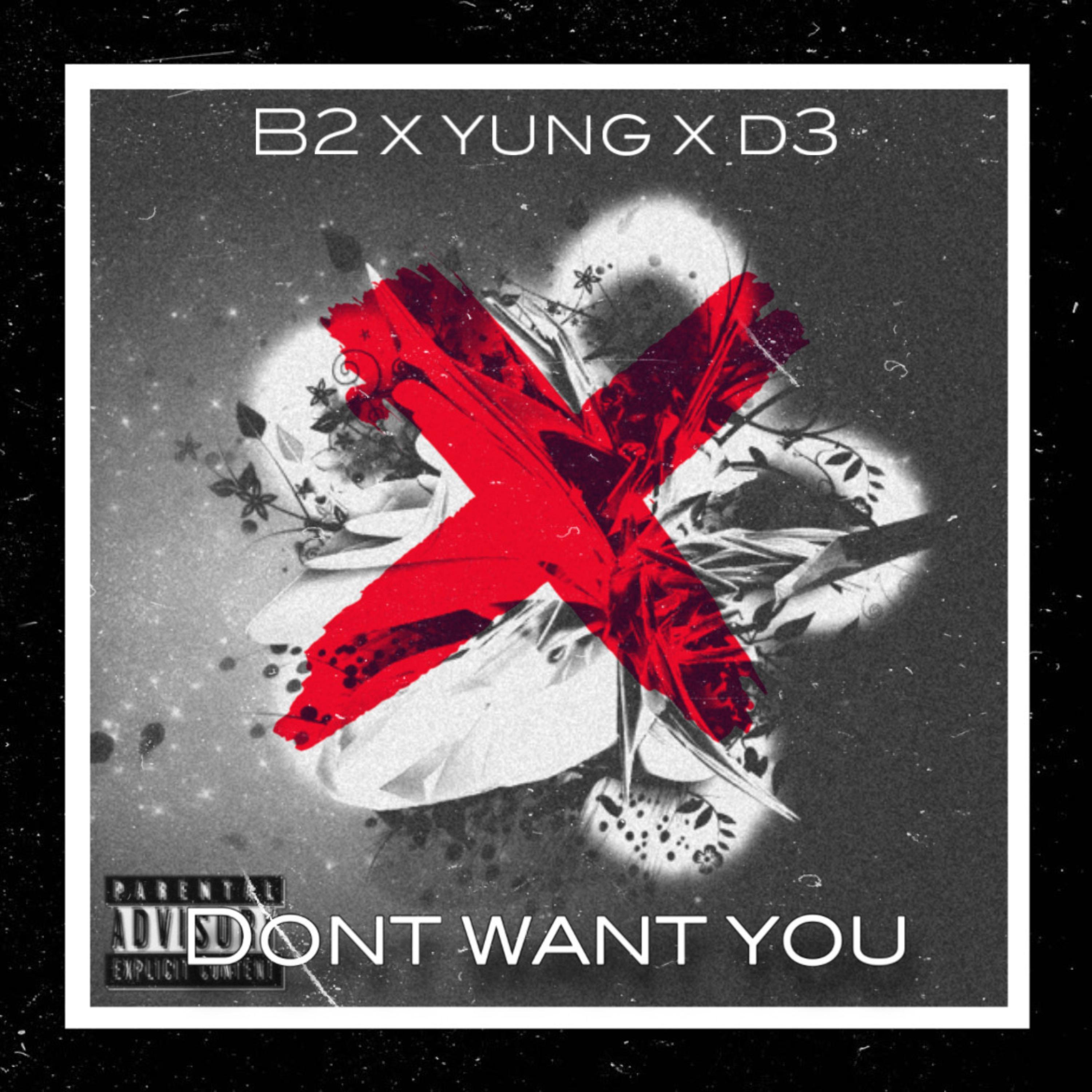 Dont Want You artwork