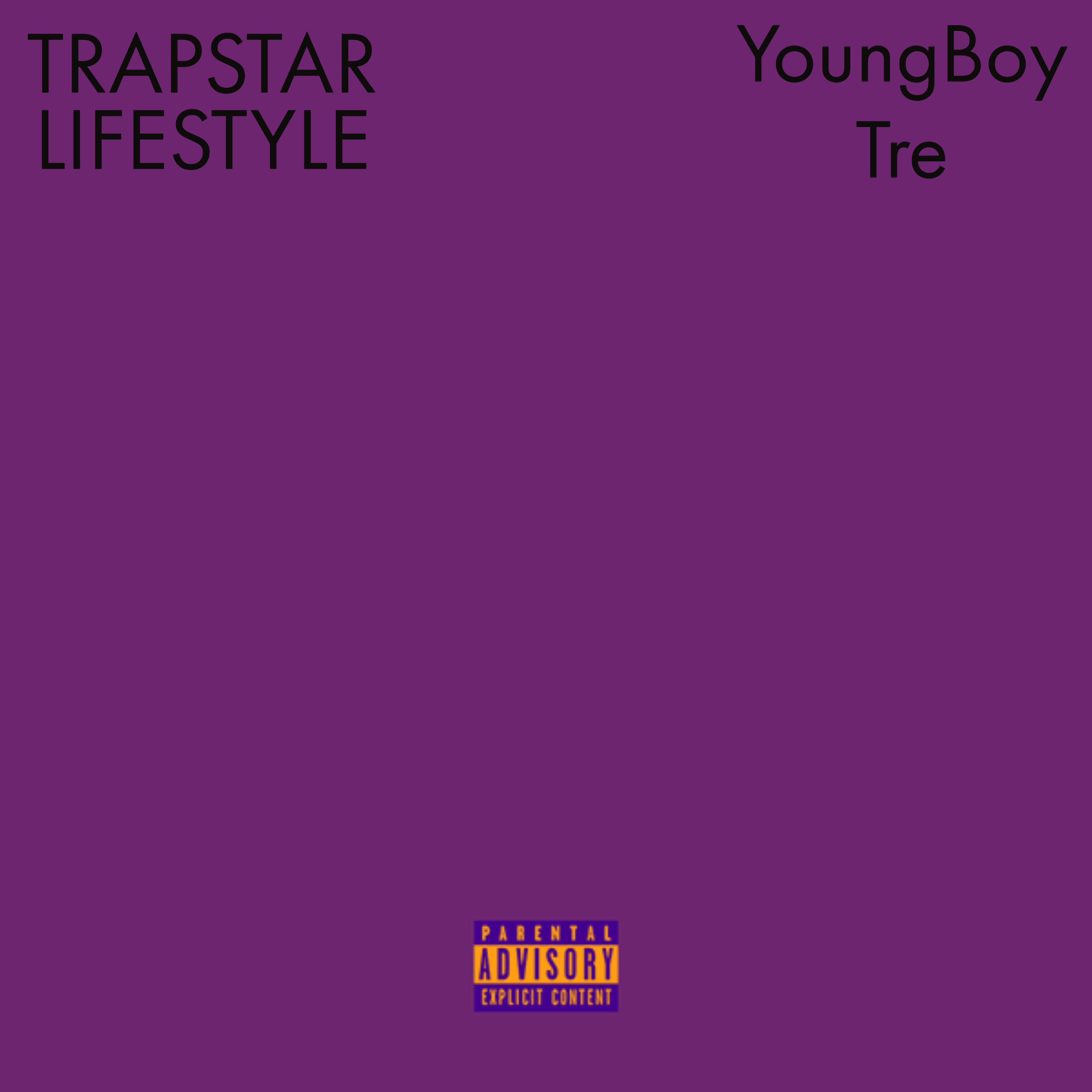 TRAPSTAR LIFESTYLE artwork