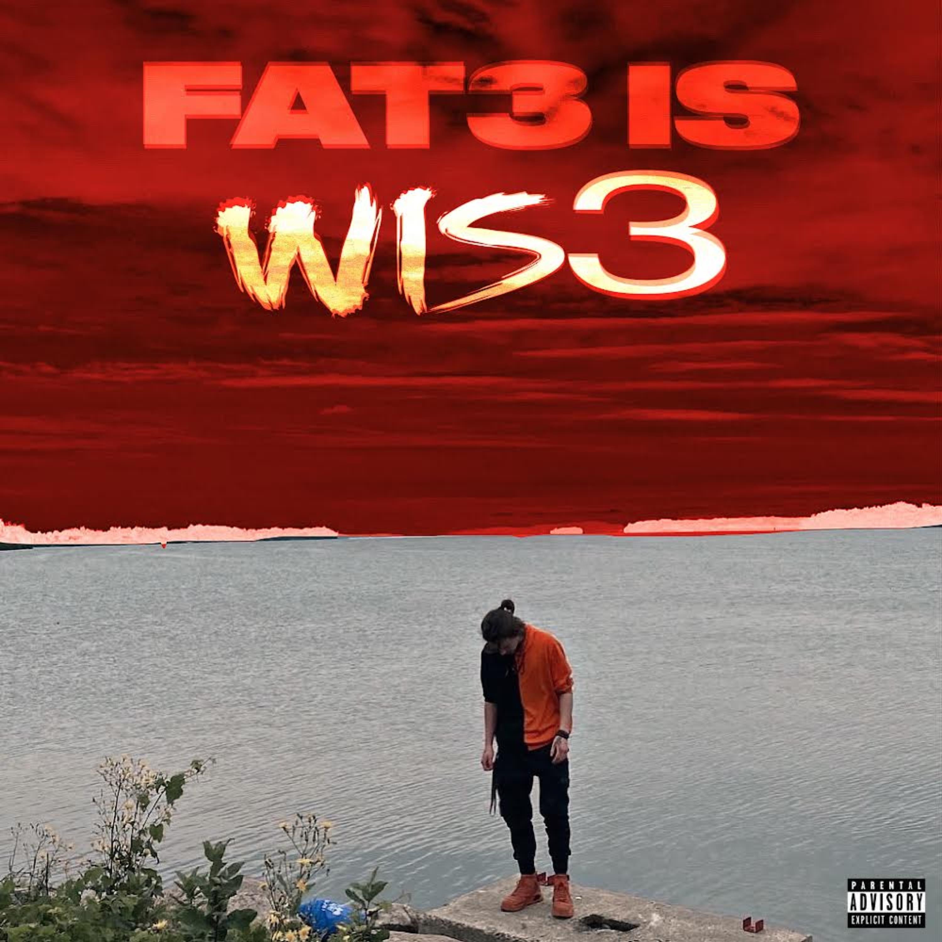 Fat3 Is Wis3 artwork