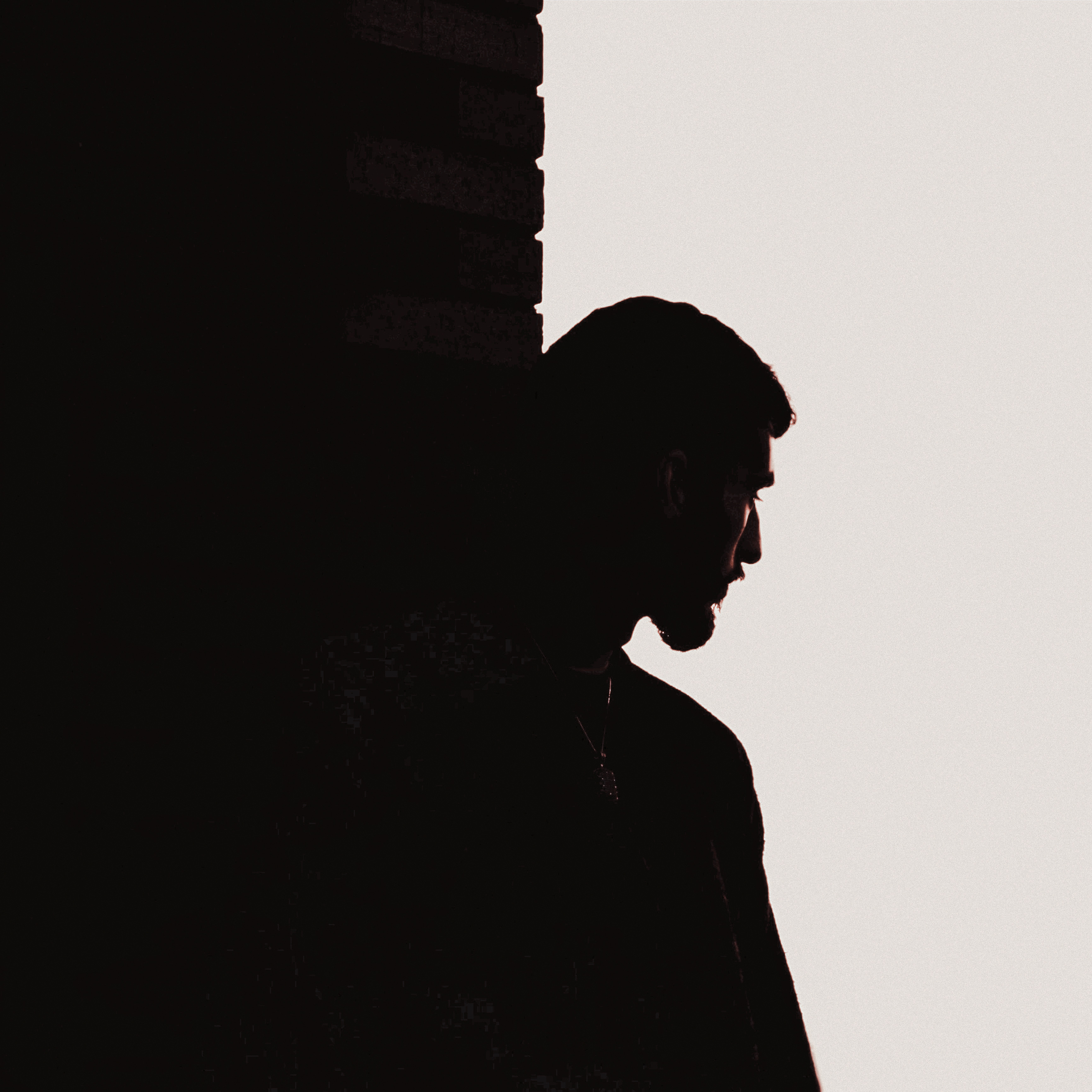 The Reason artwork