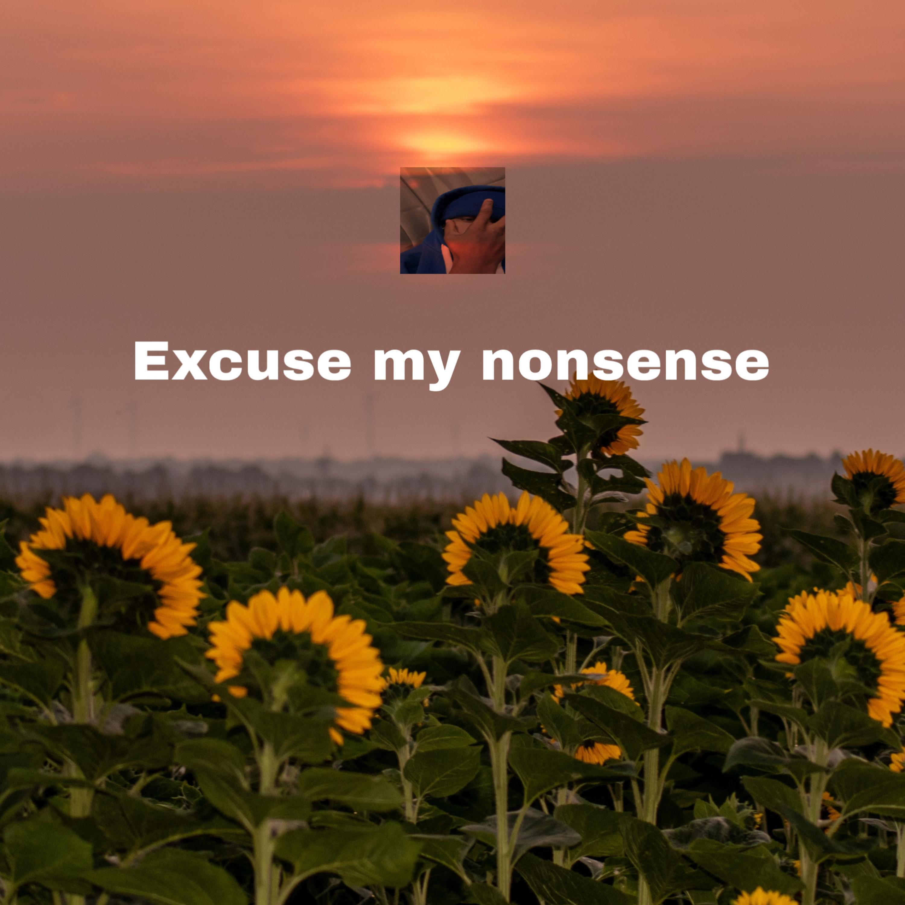 Excuse My Nonsense artwork