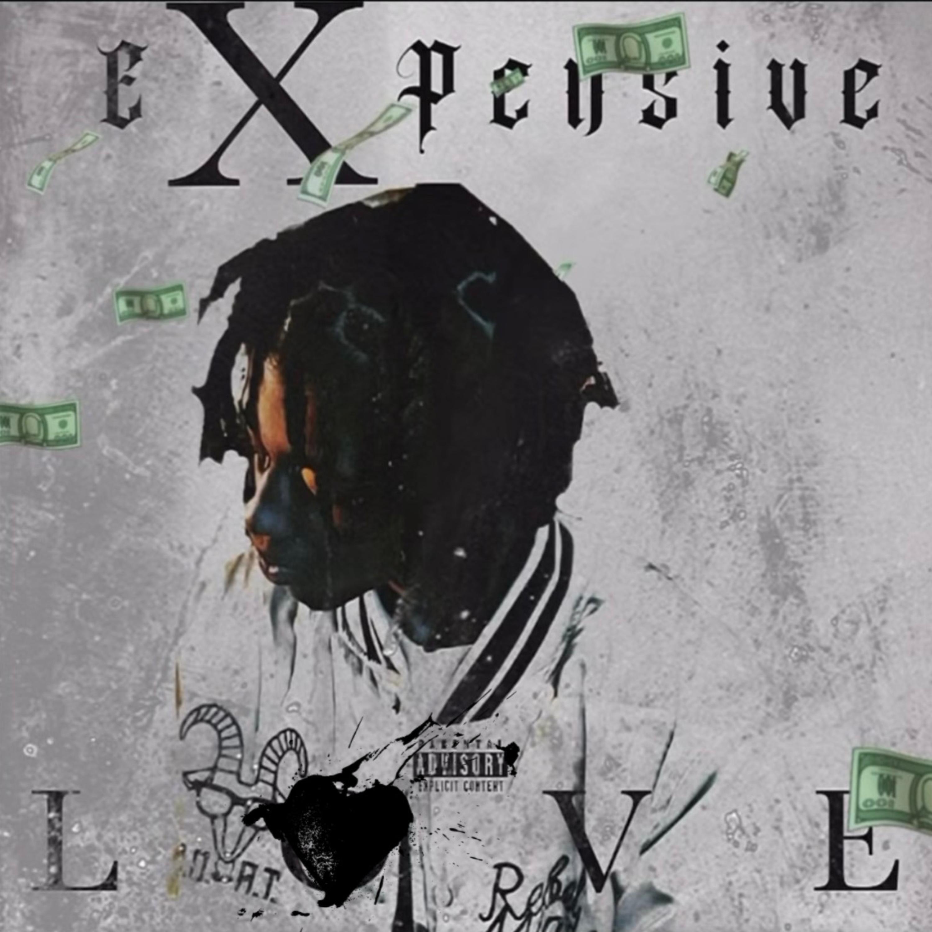 ExpensvLuvv artwork