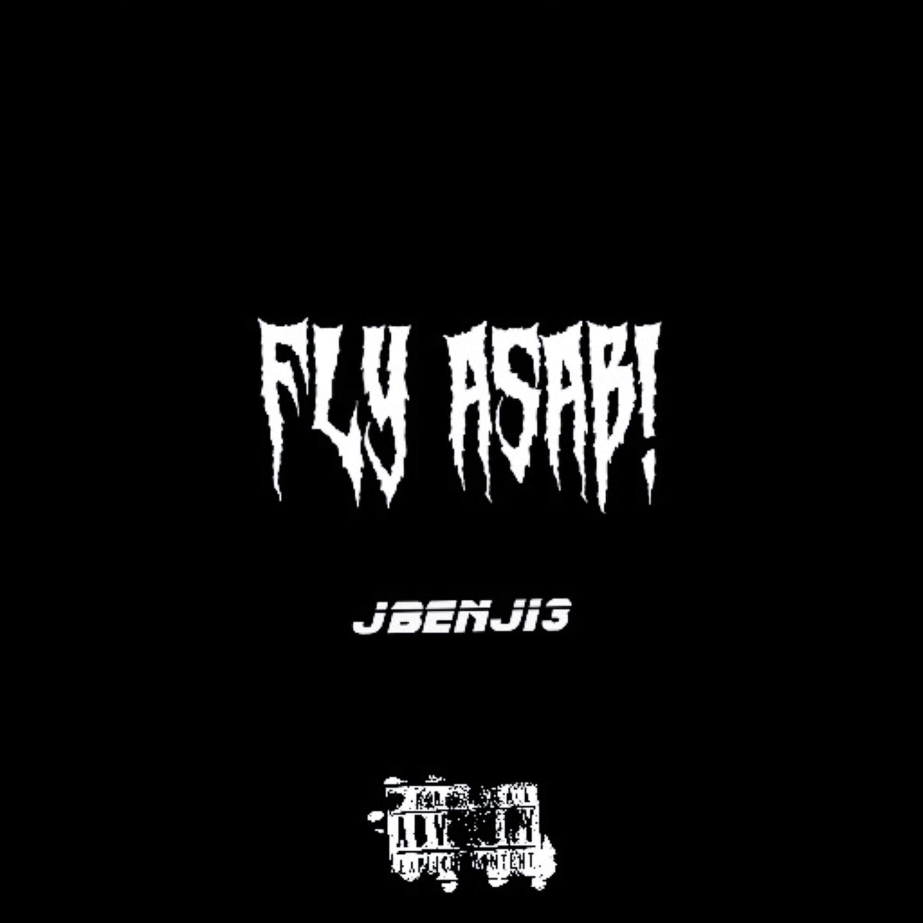 FLY ASAB! artwork