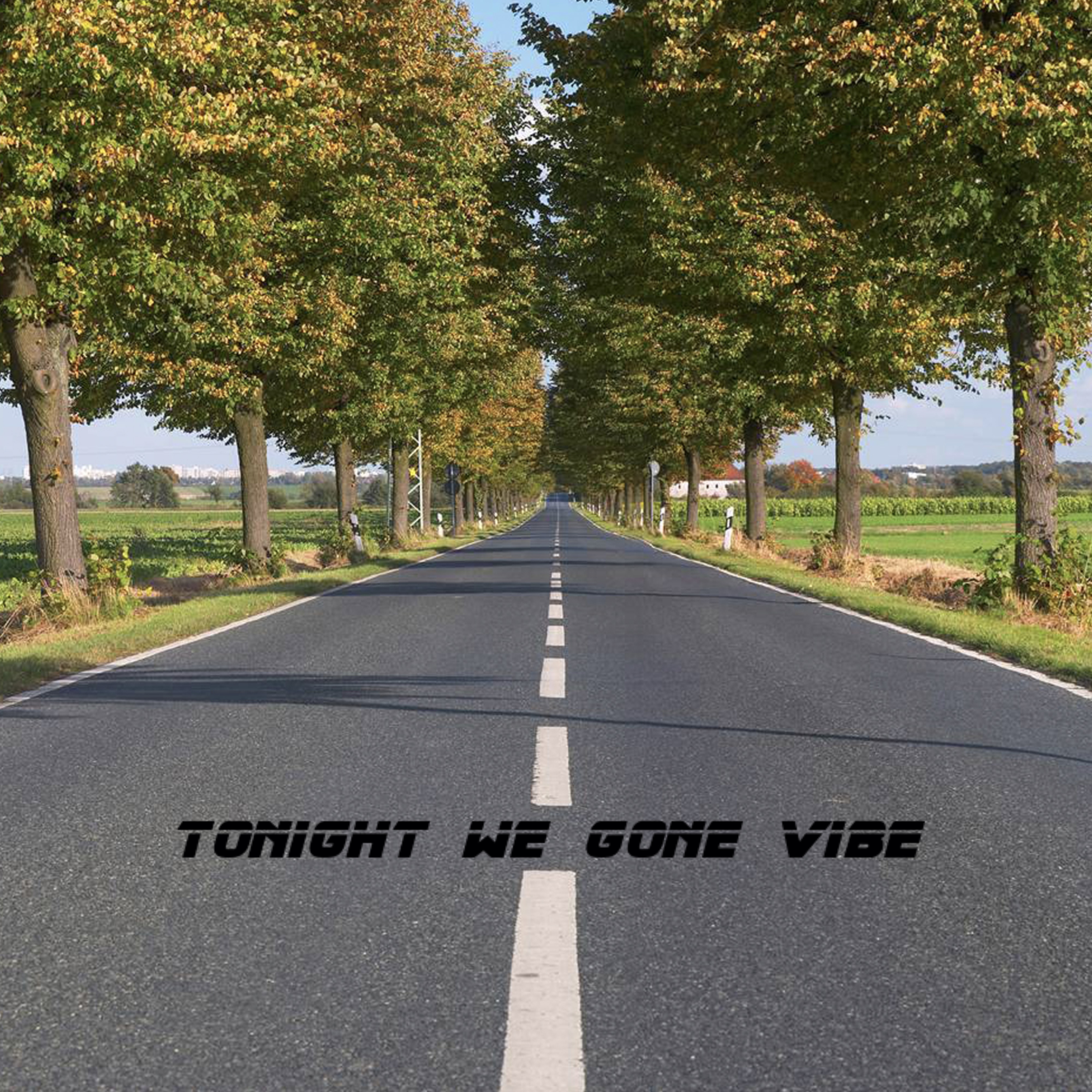 Tonight We Gone Vibe (Instrumental) artwork