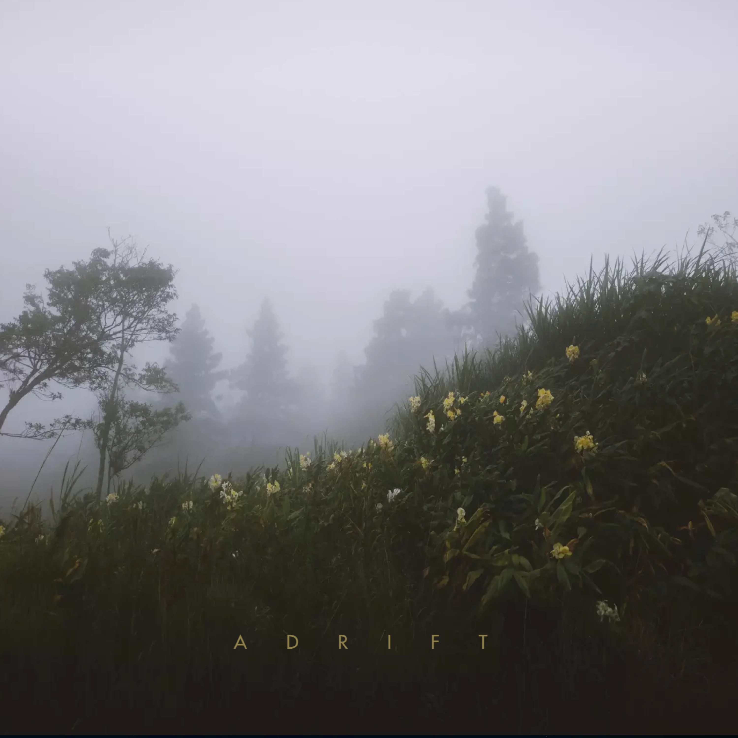 Adrift artwork