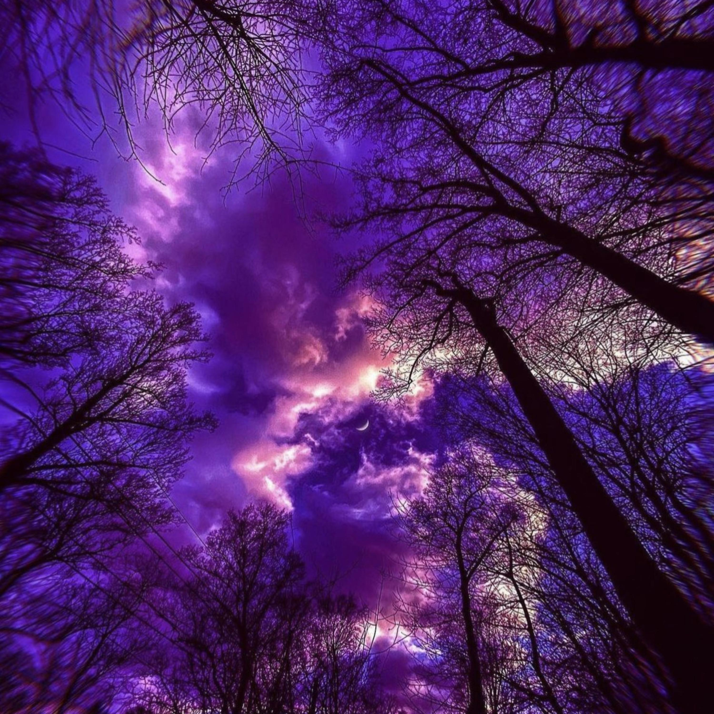 Realize Real Lies artwork