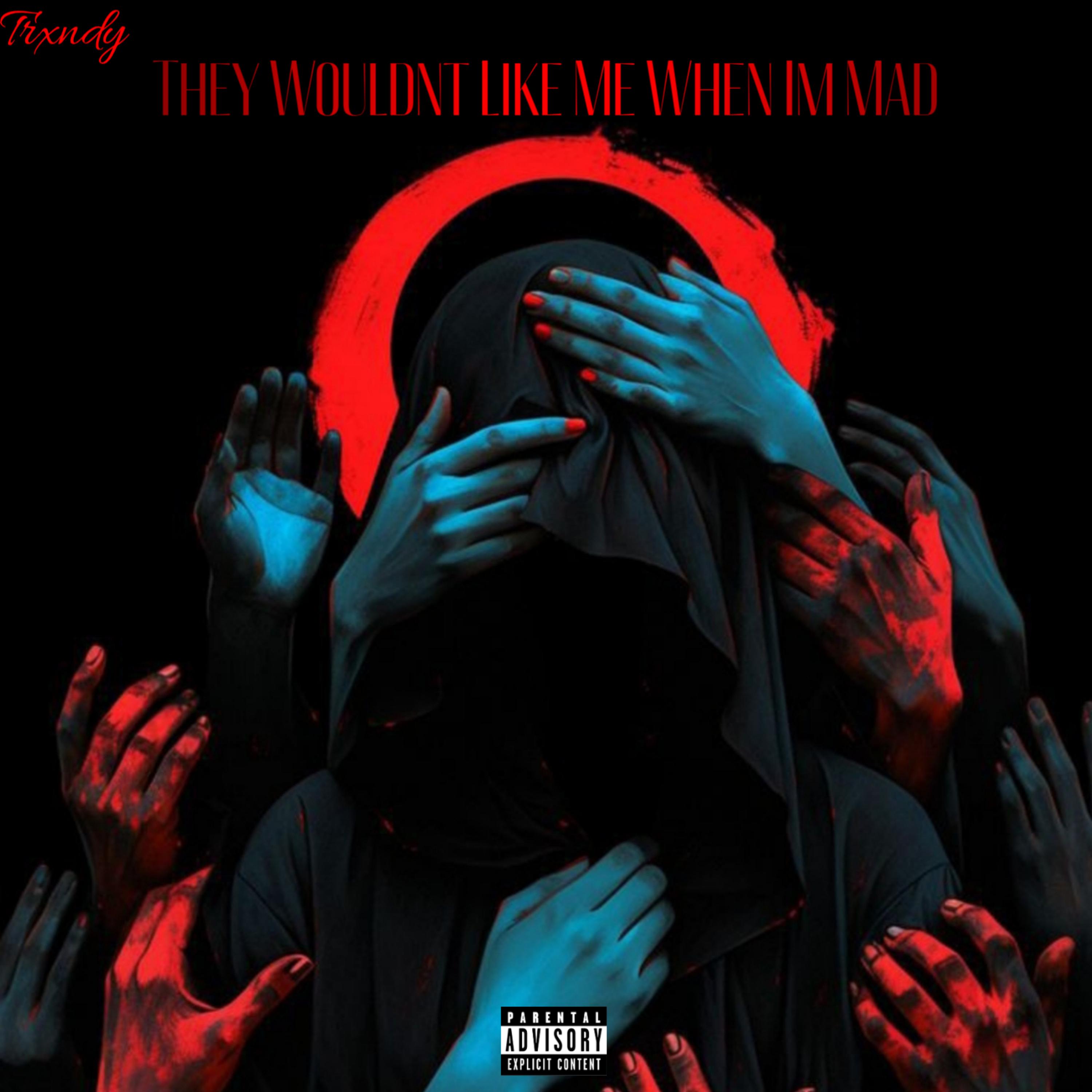 THEY WOULDN’T LIKE ME WHEN IM MAD artwork