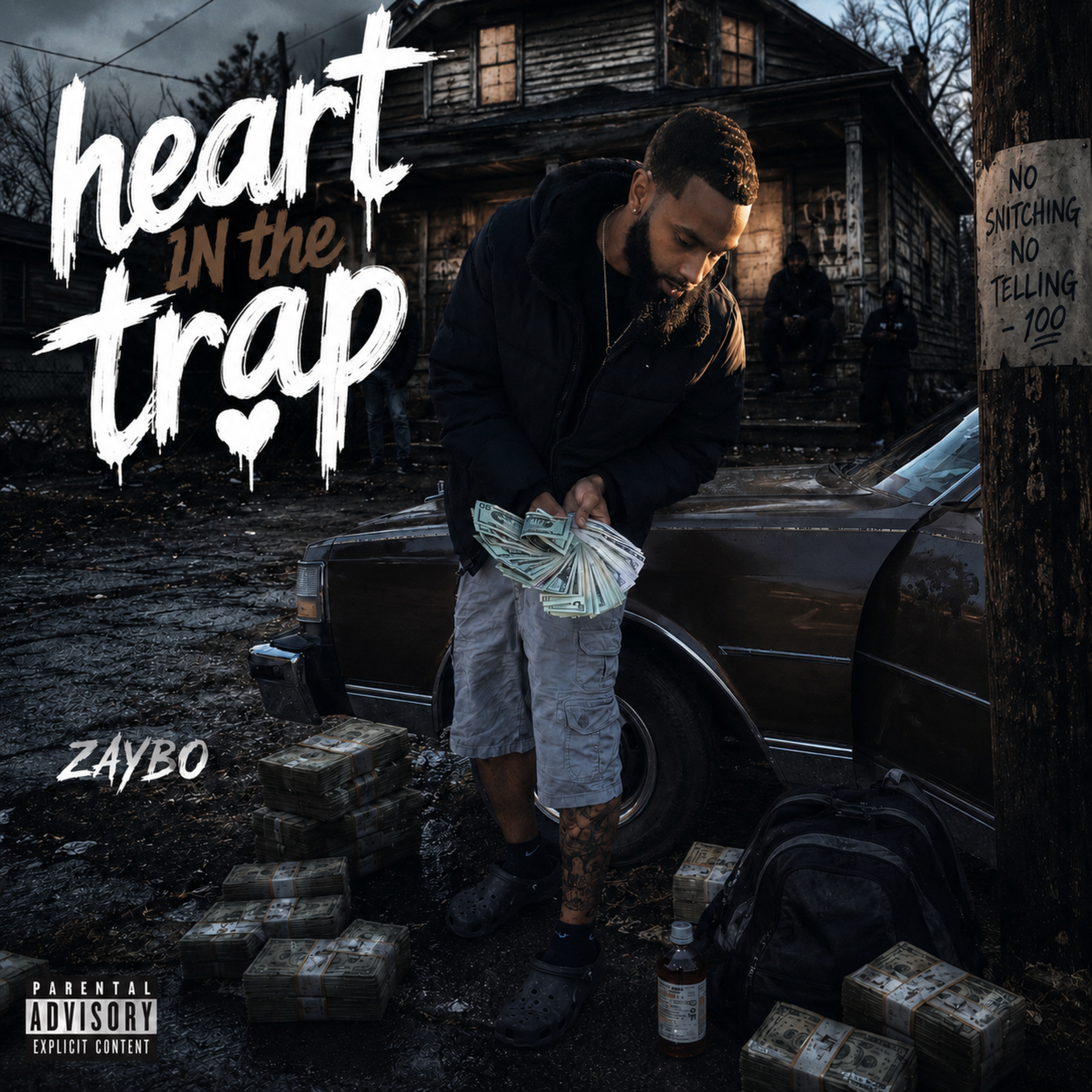 Heart In The Trap by Zaybo cover art
