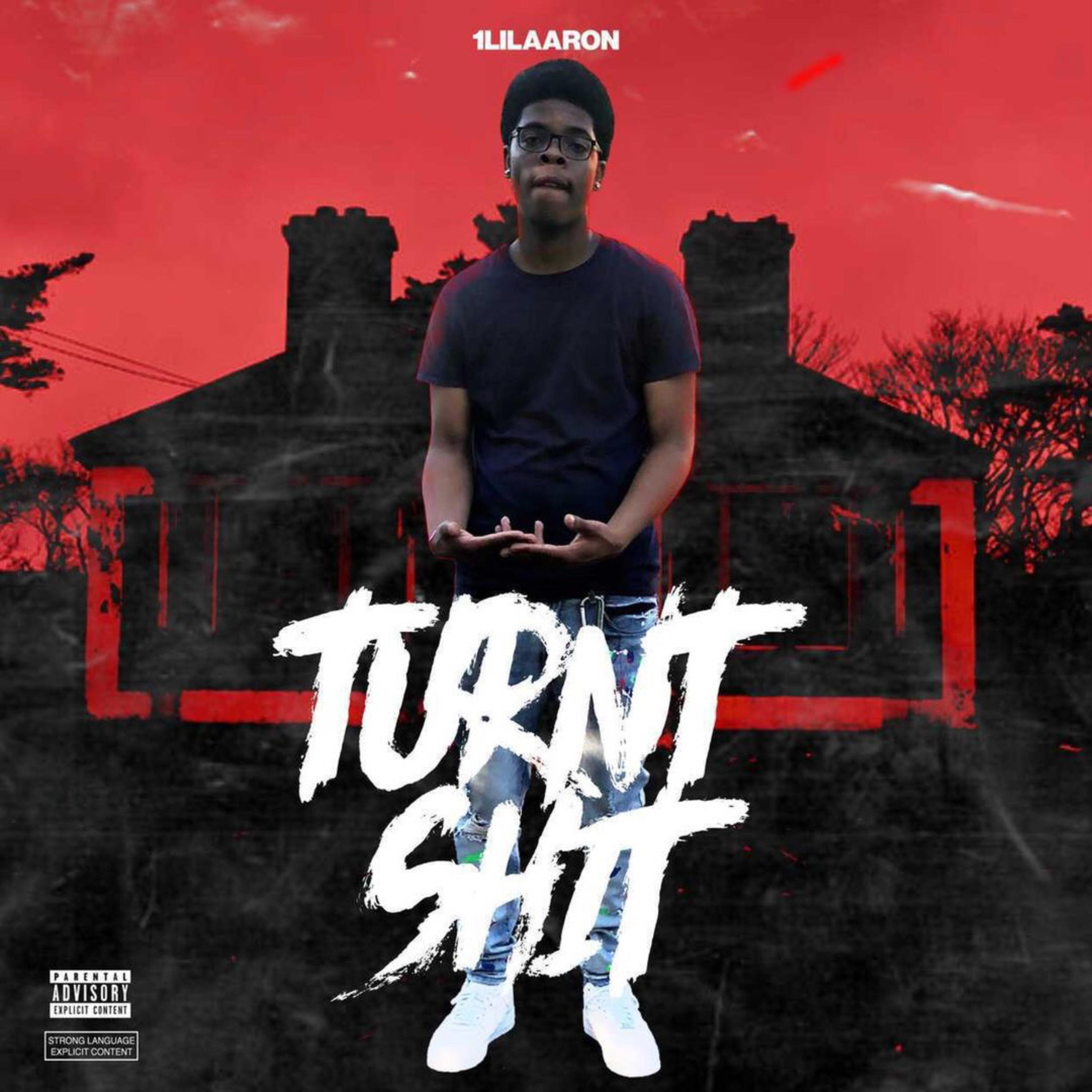 TURNT SHIT artwork