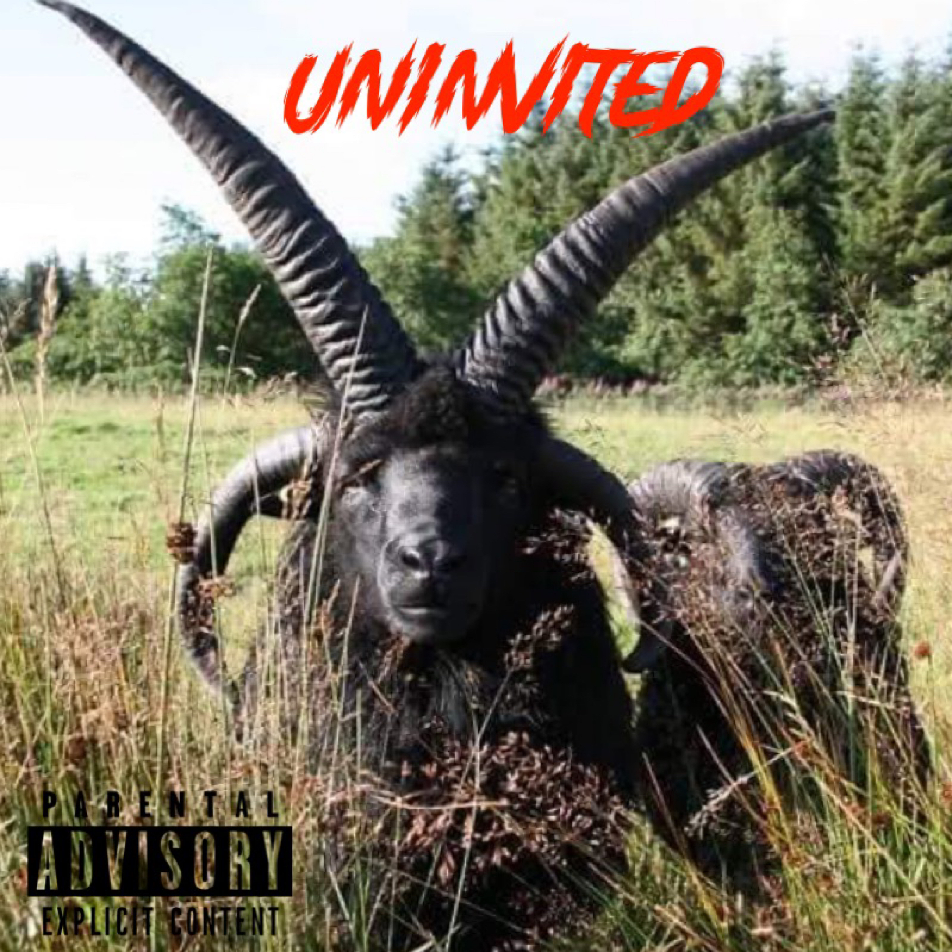 Uninvited artwork