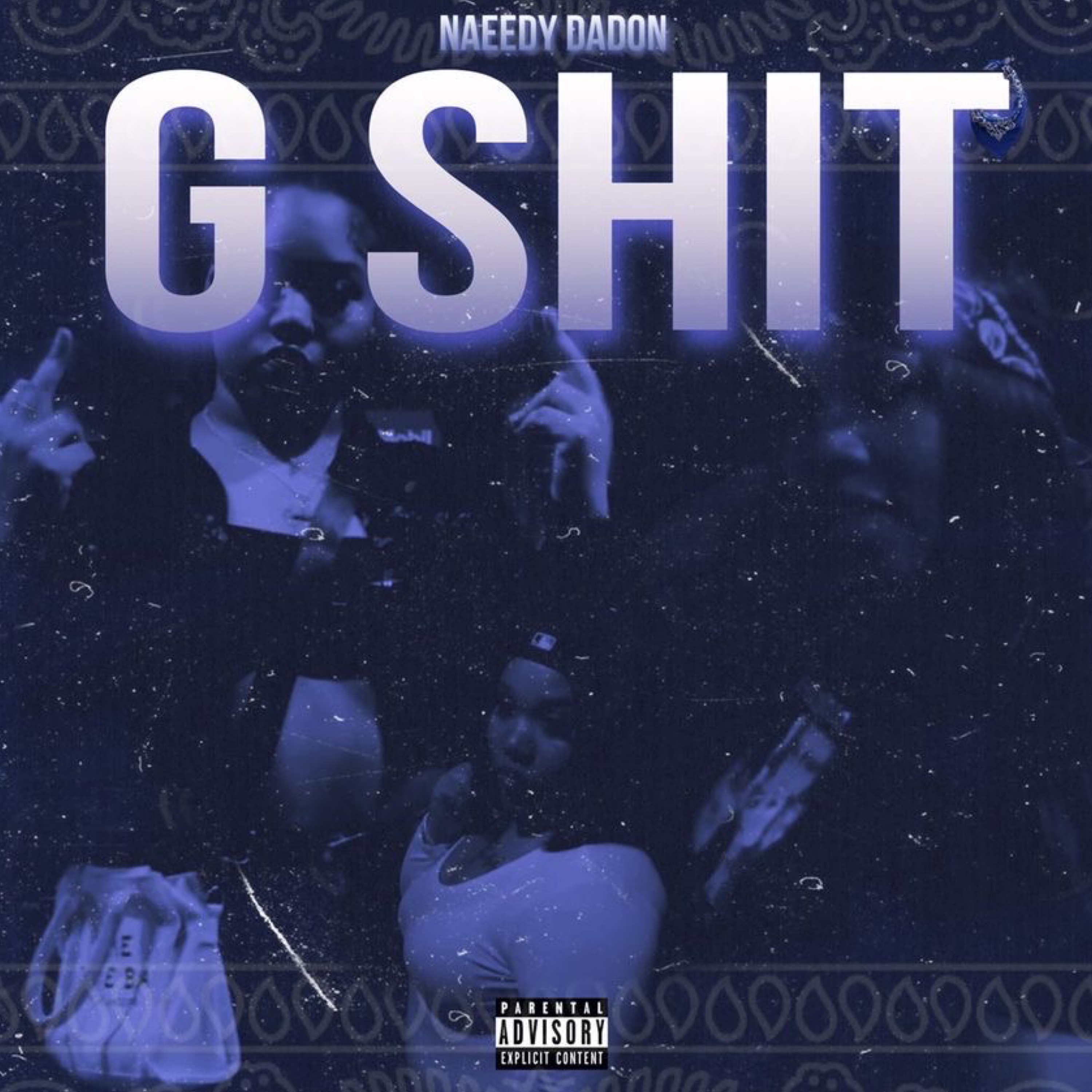 GSHIT artwork