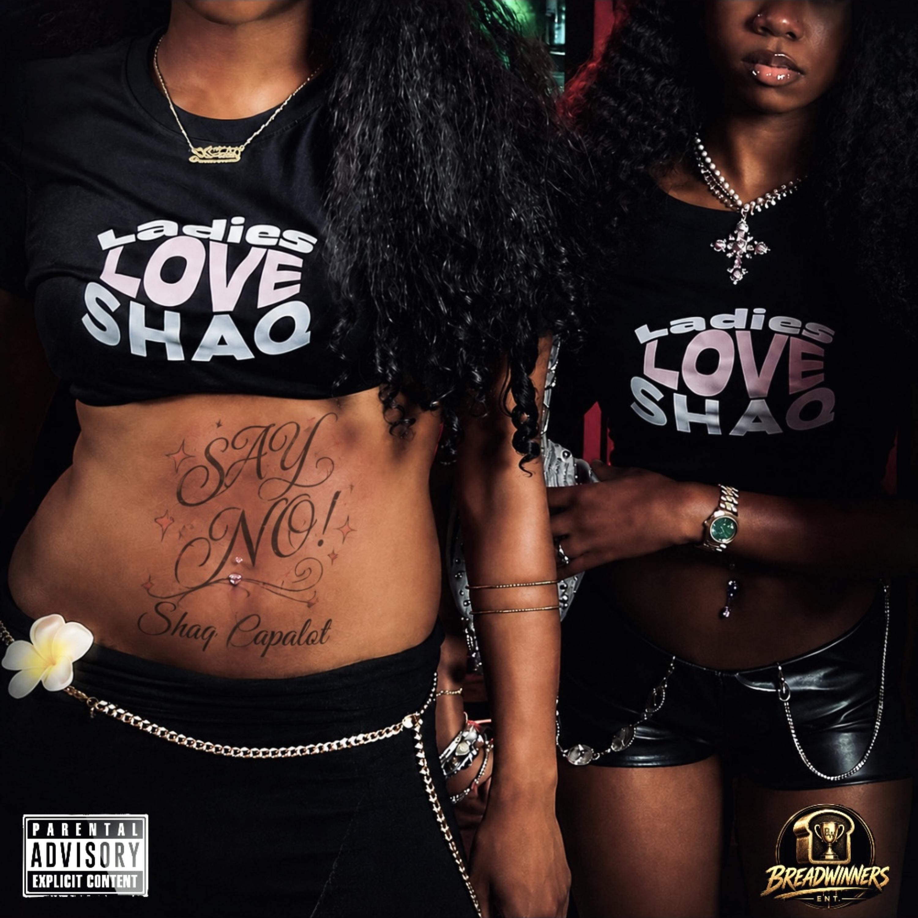 SAY NO! by Shaq Capalot cover art