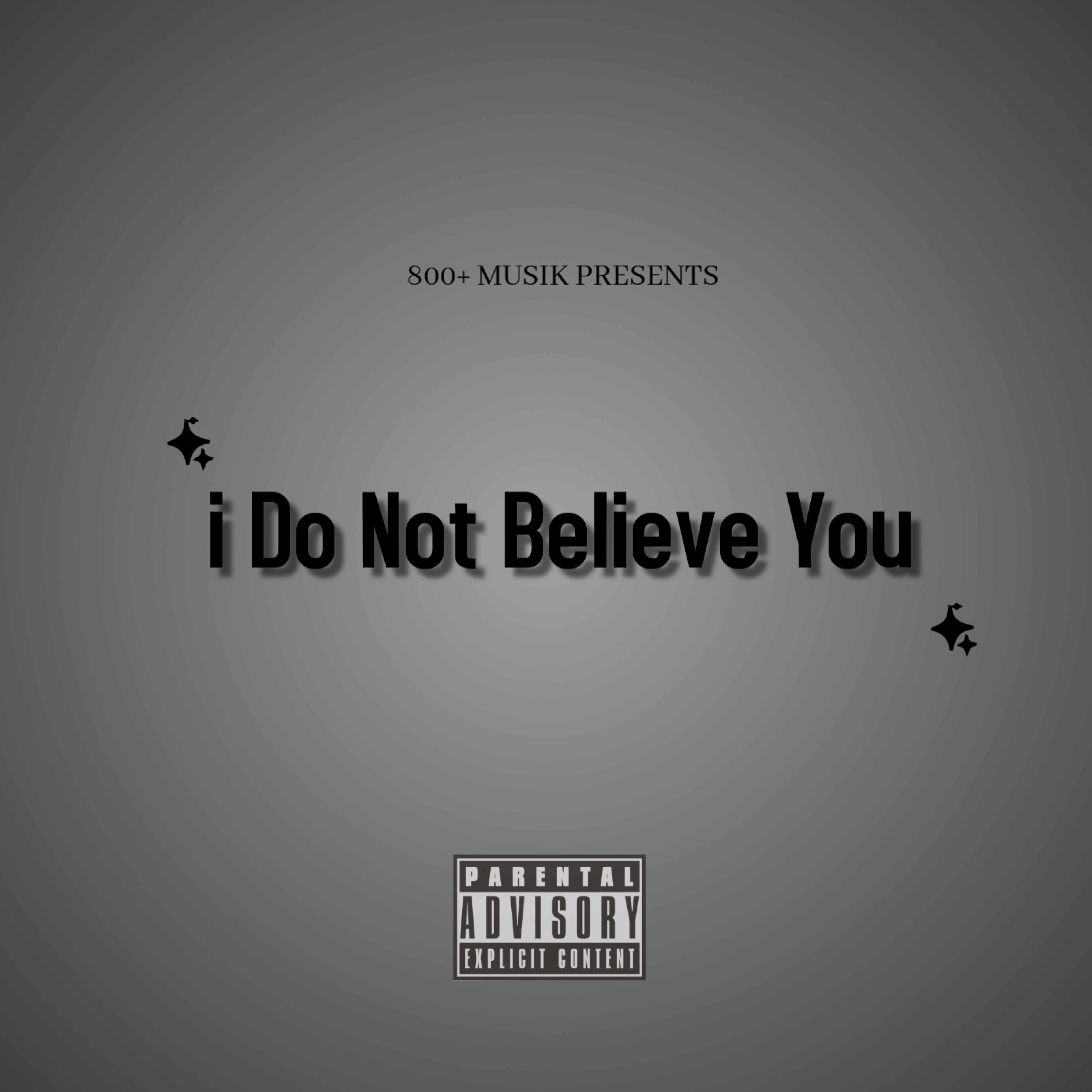 I Do Not Believe You artwork