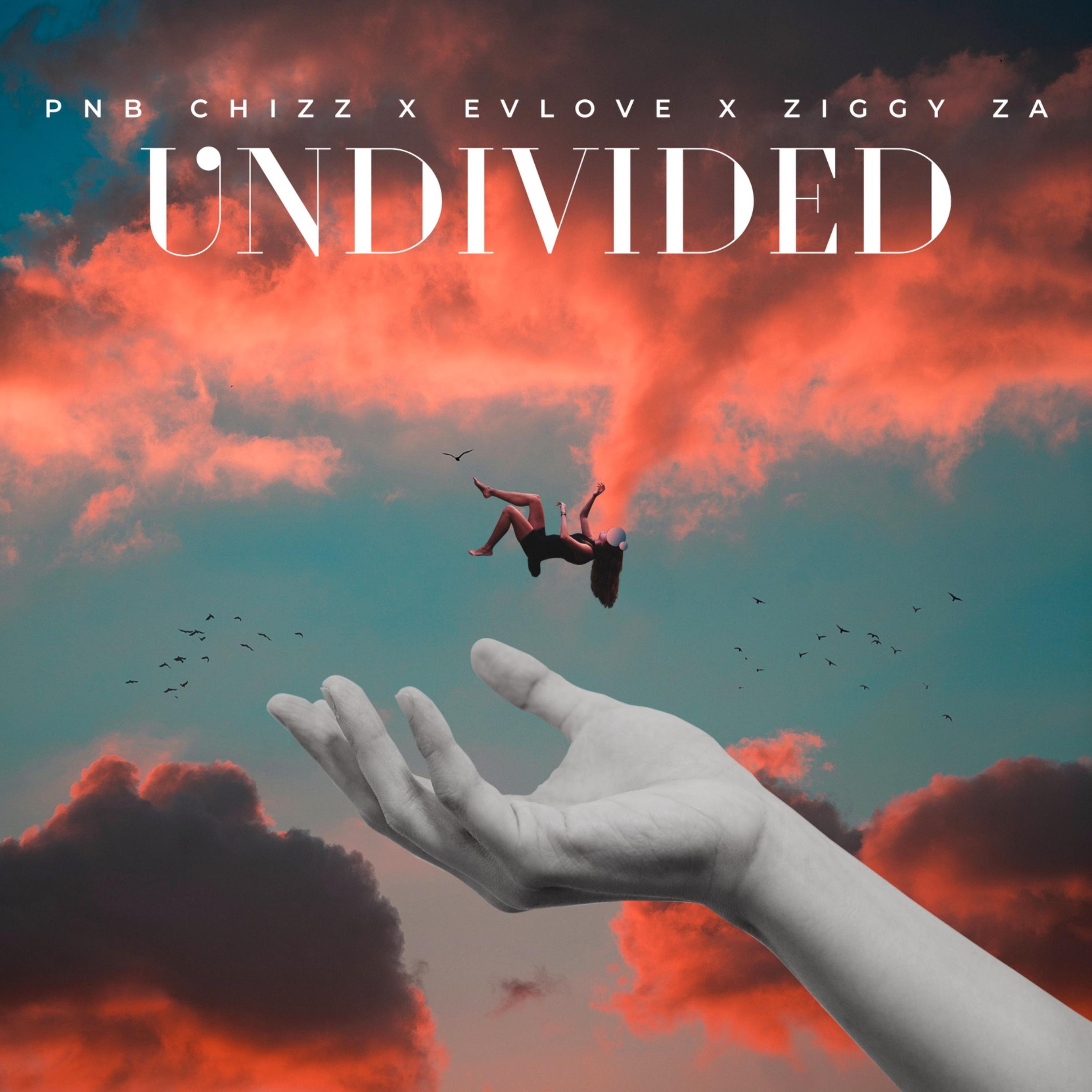 UNDIVIDED artwork