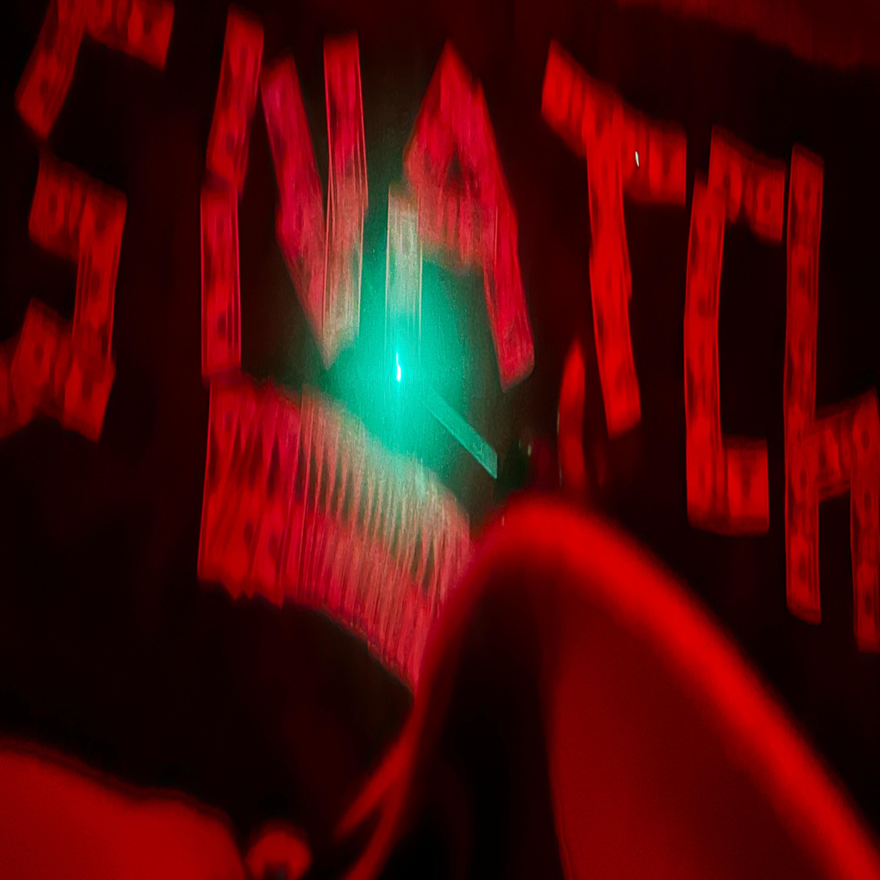 Whatchu Snatch ? artwork