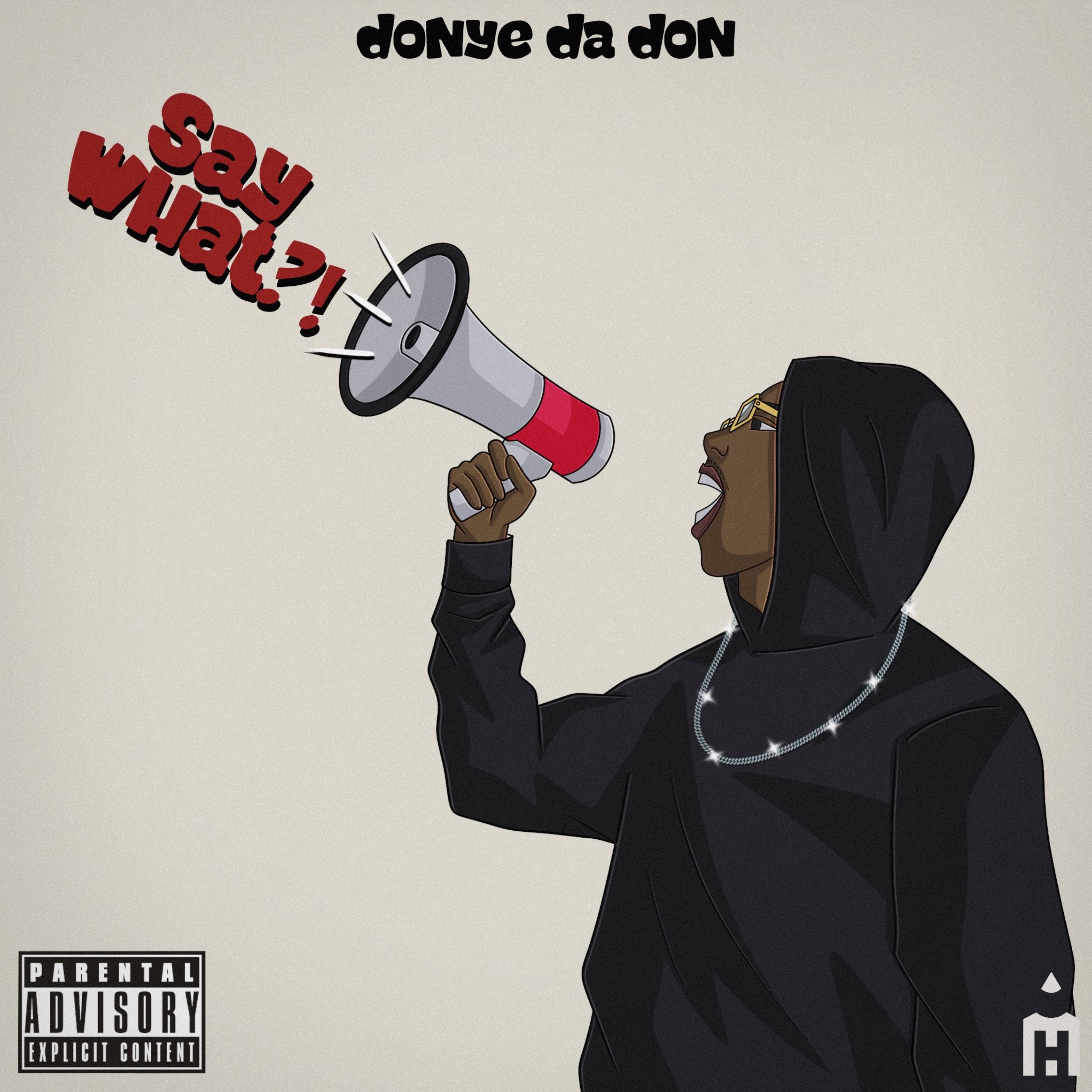 Say What artwork