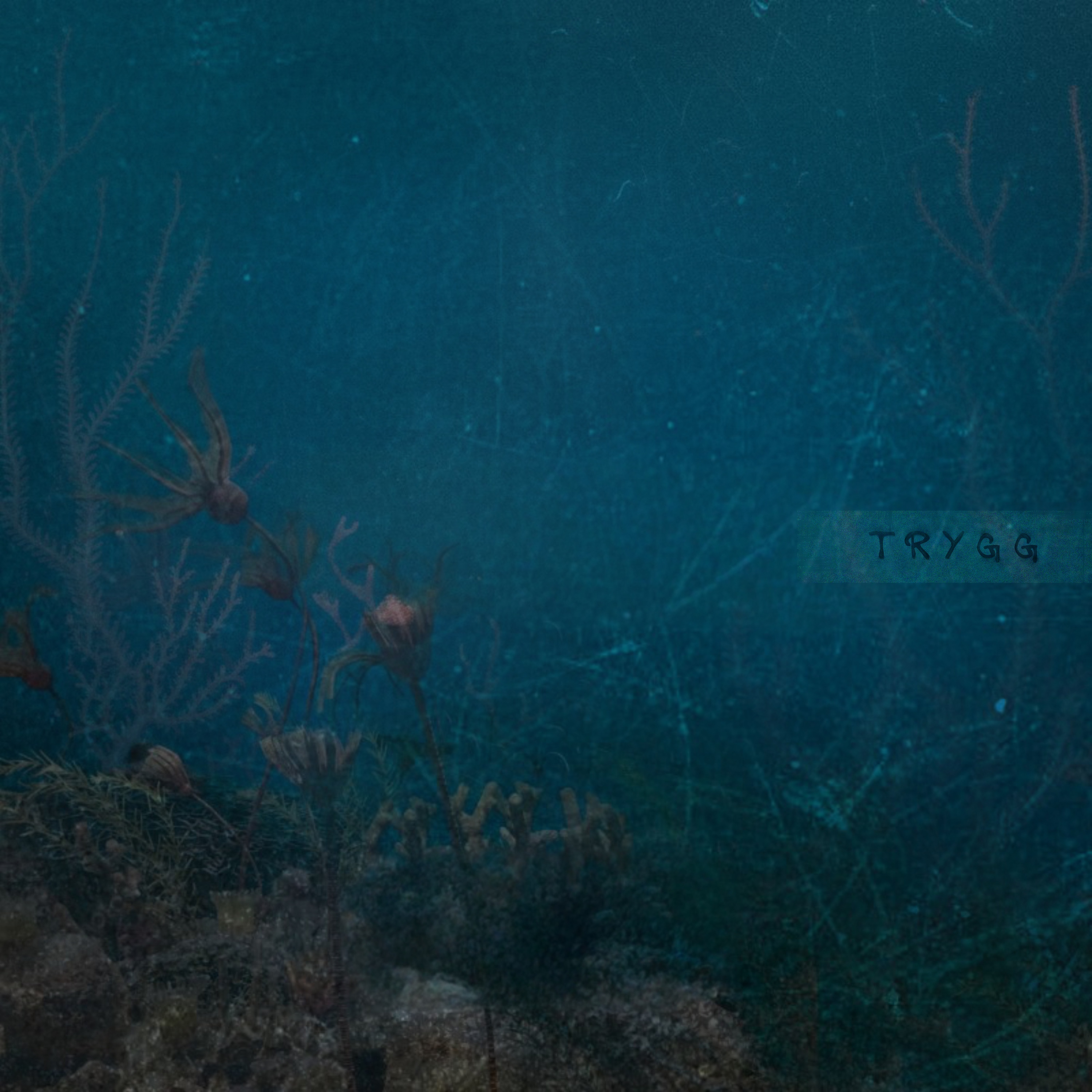 The Lagoon artwork