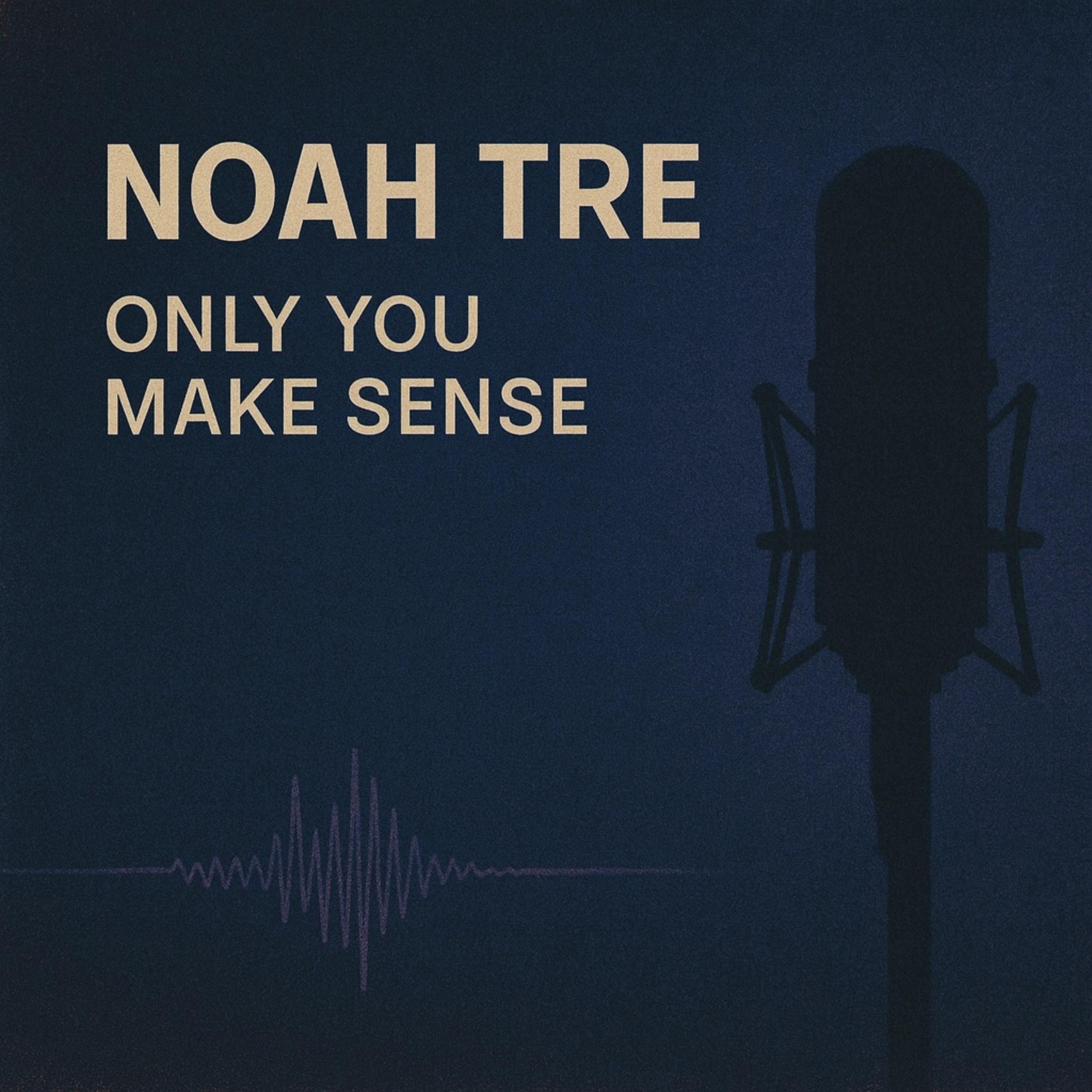 Only You Make Sense by Noah Tre cover art