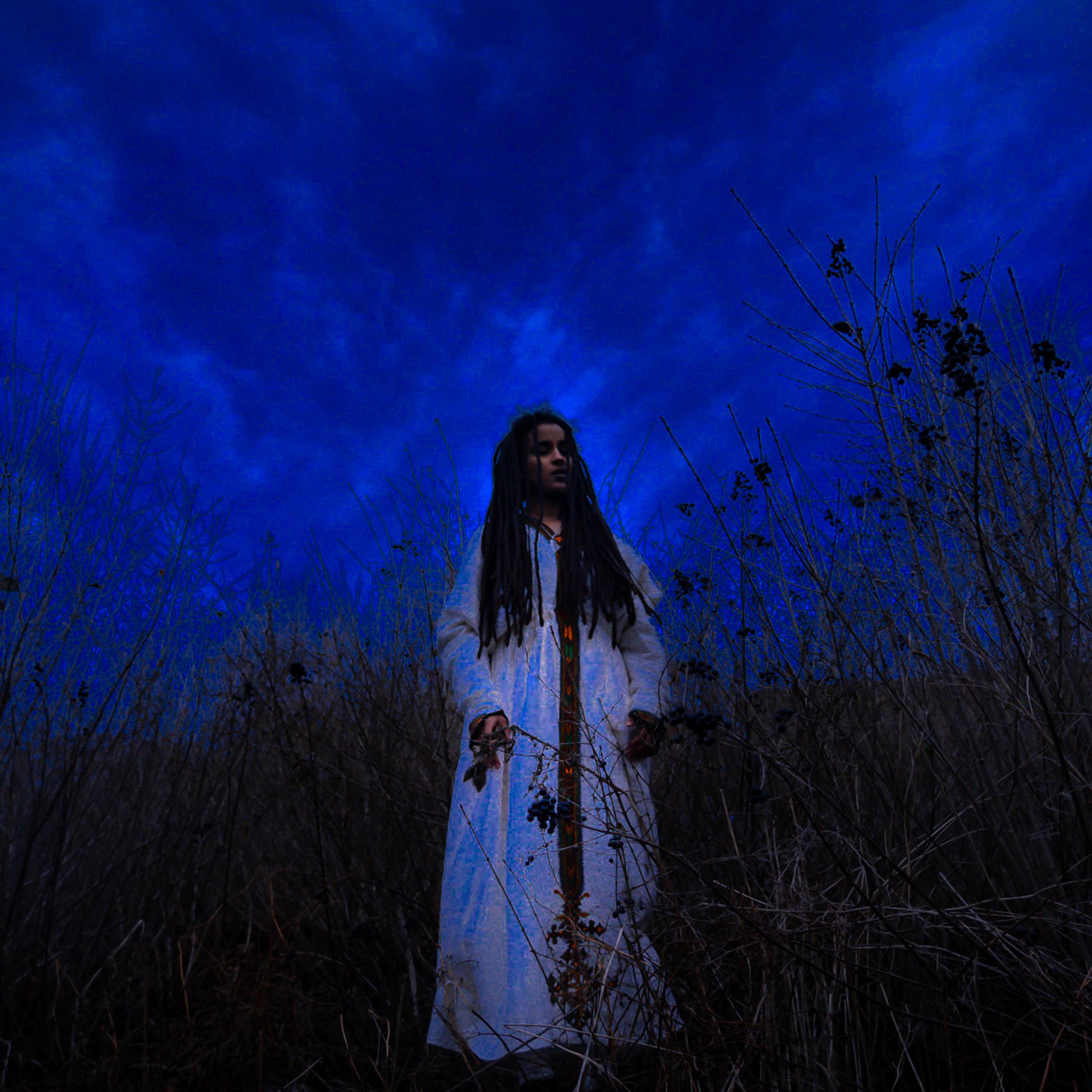 The Dress by Adey cover art