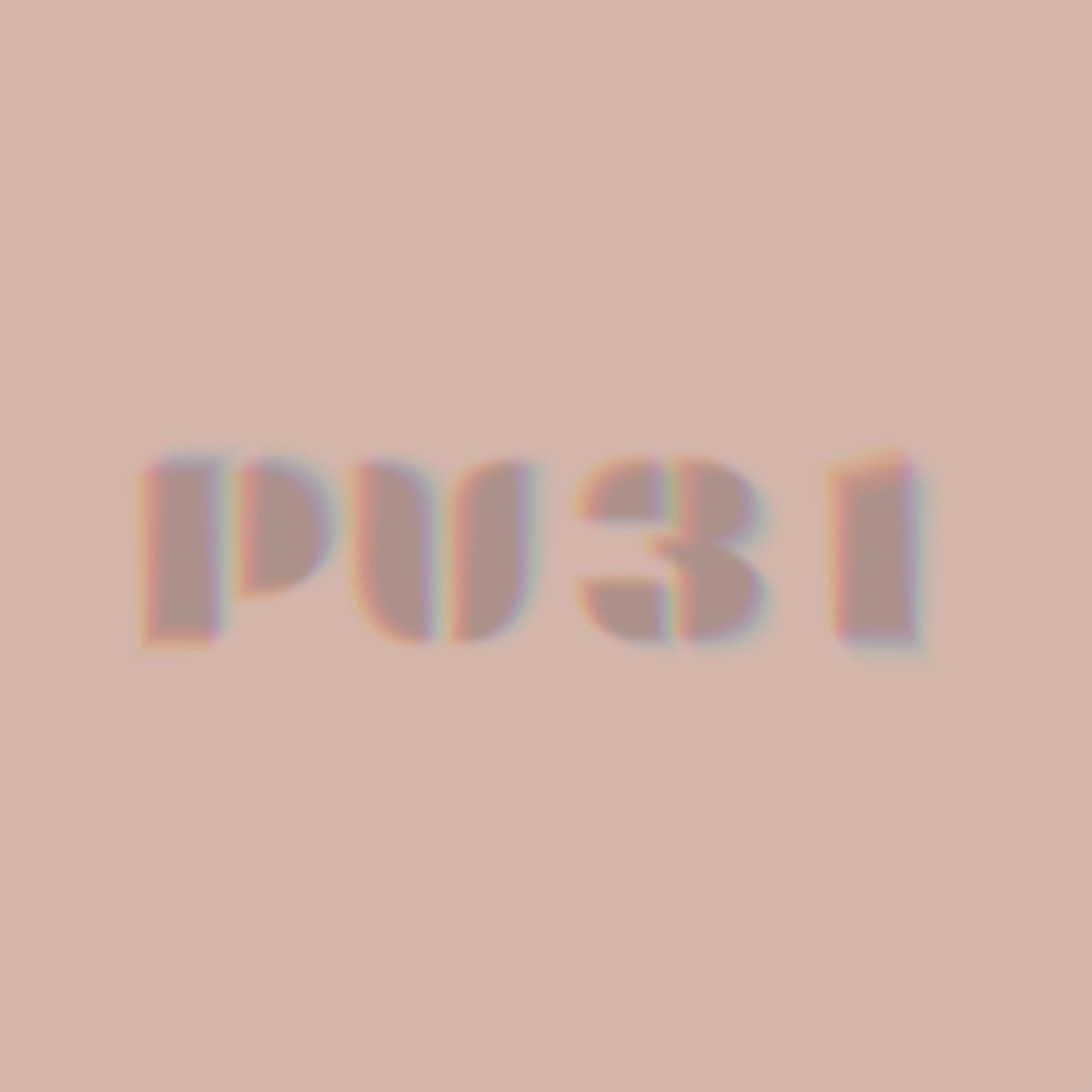 PV31 artwork