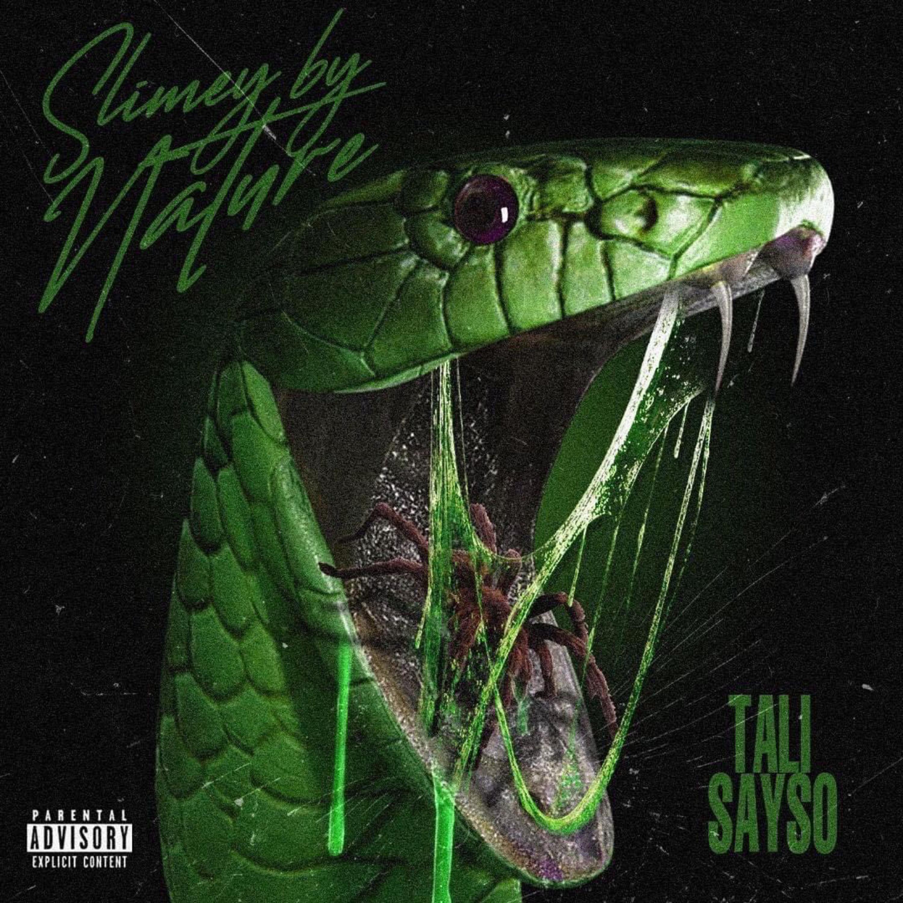 Slimey By Nature artwork