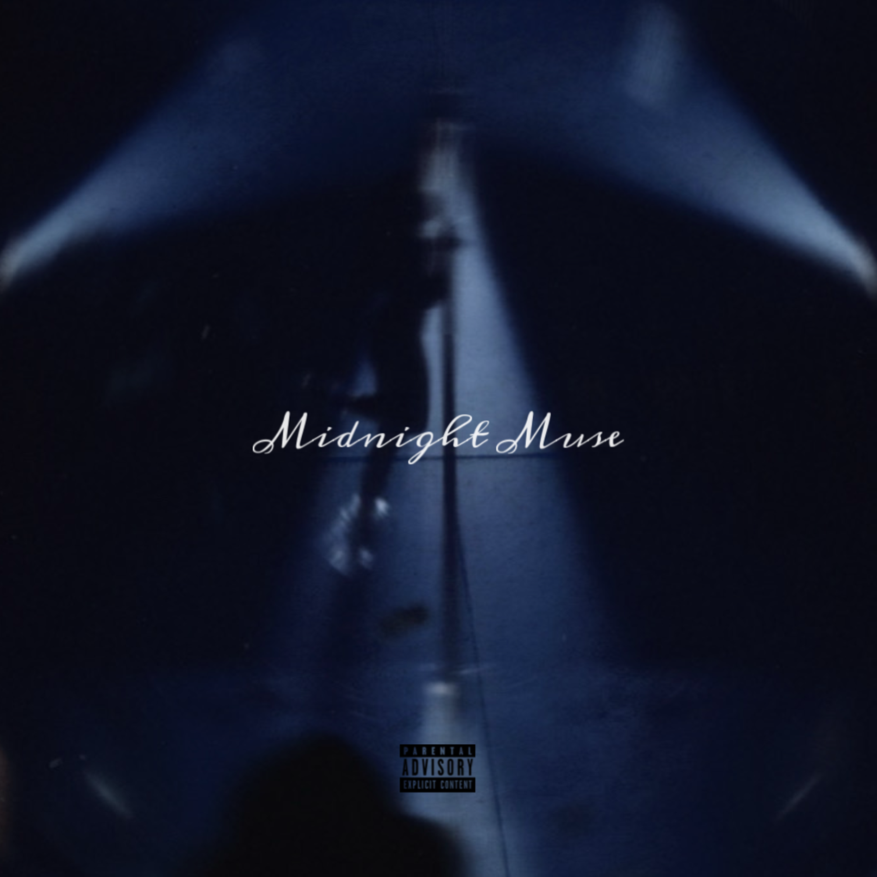 Midnight Muse artwork