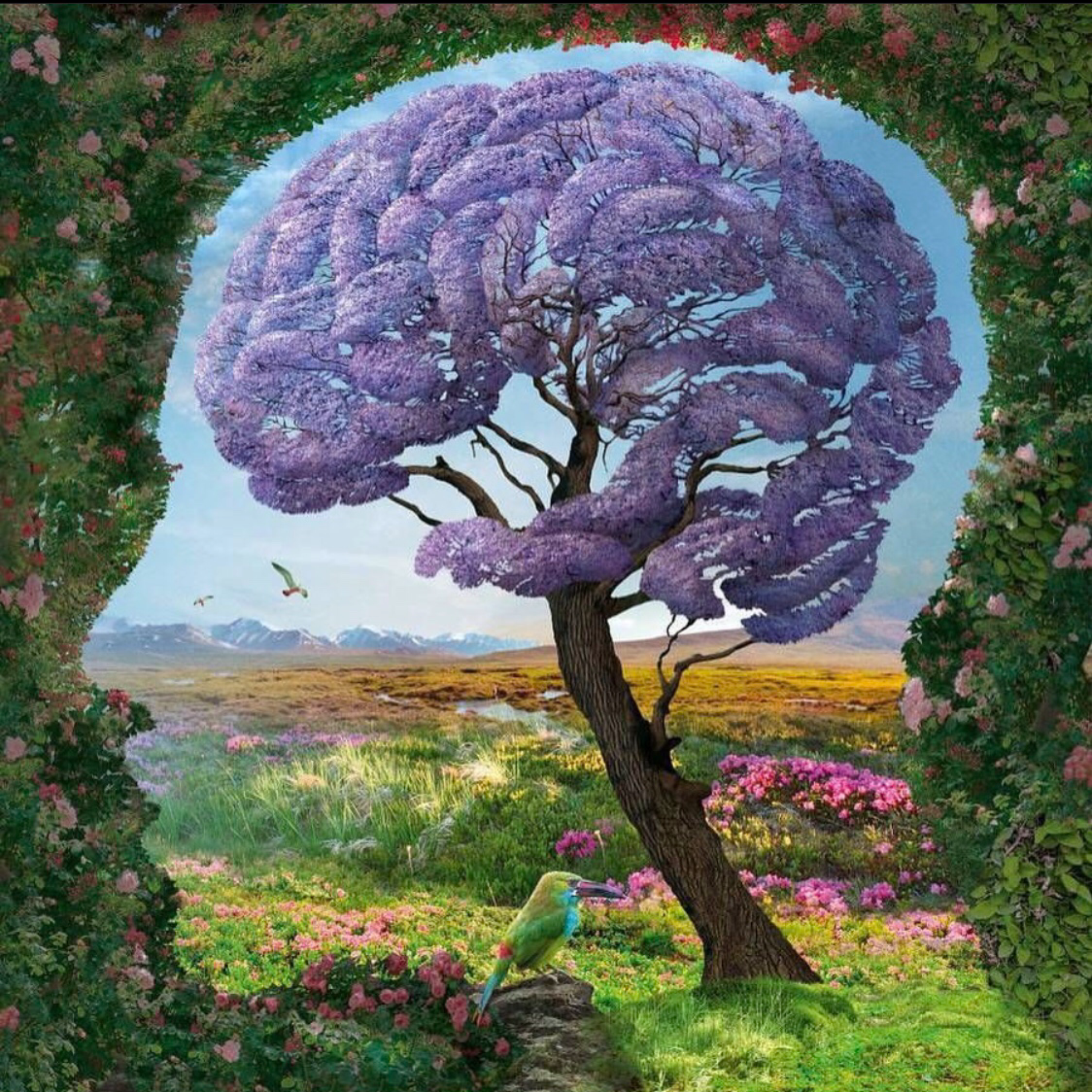 Blind artwork