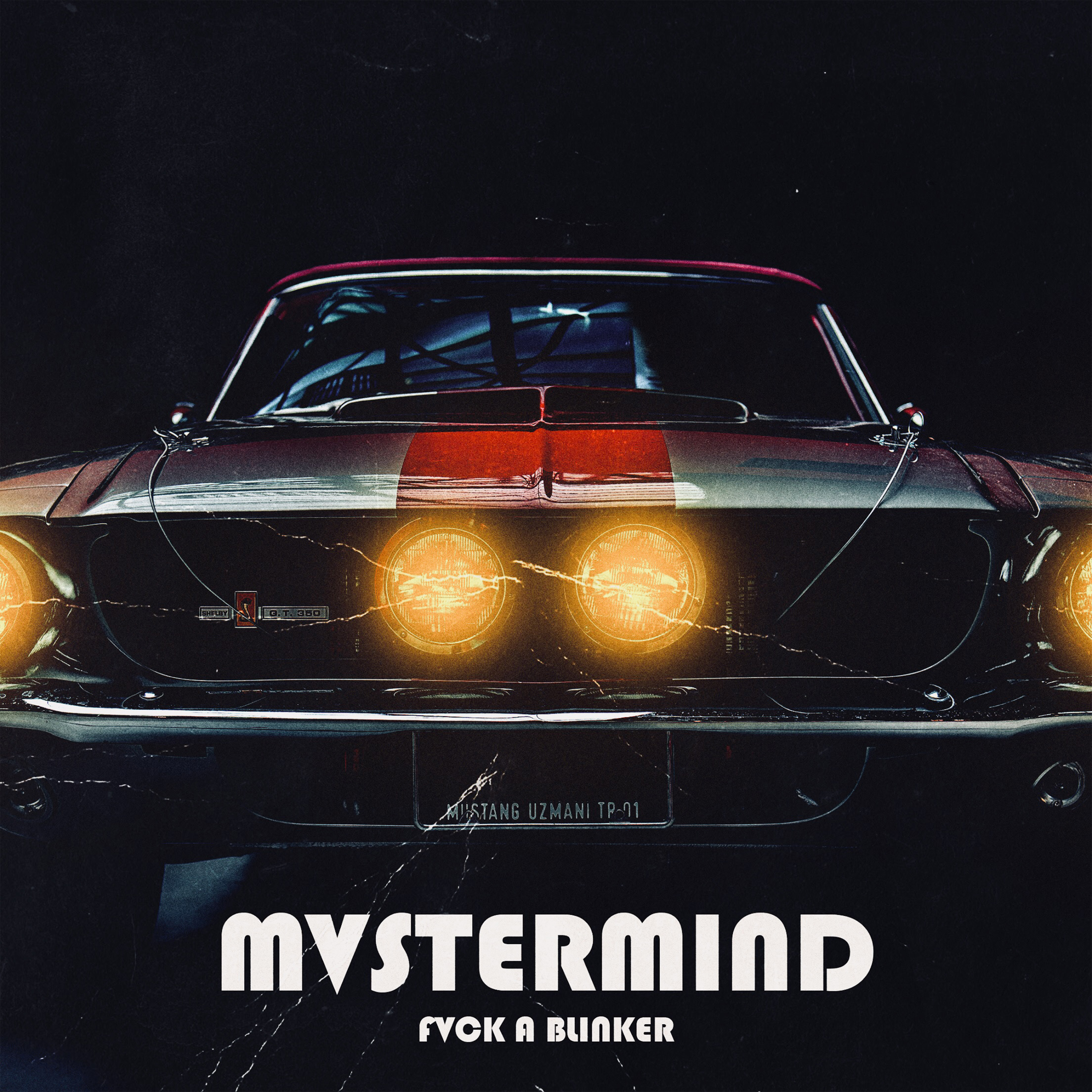 Fvck a Blinker artwork