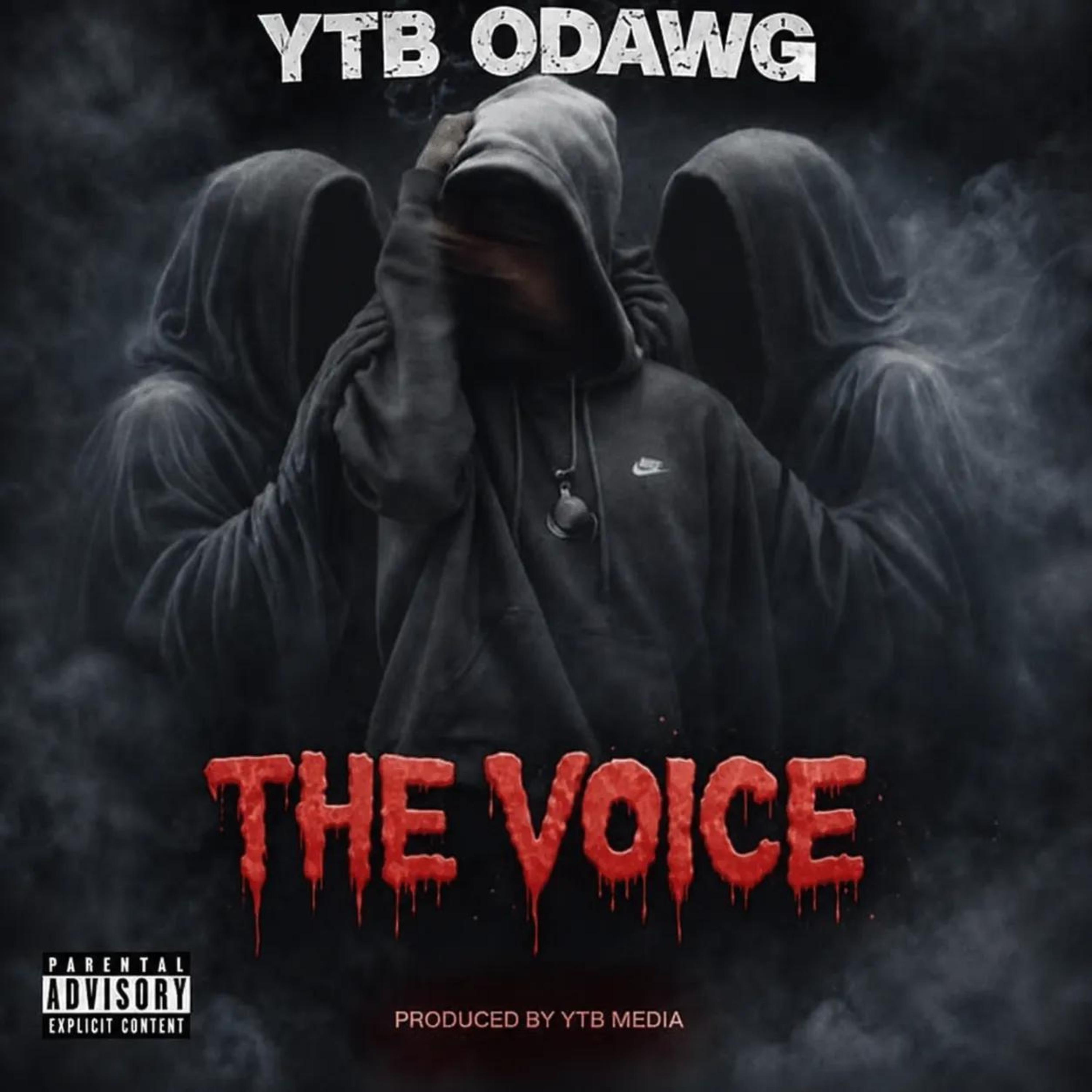 THE VOICE by YTB ODAWG cover art