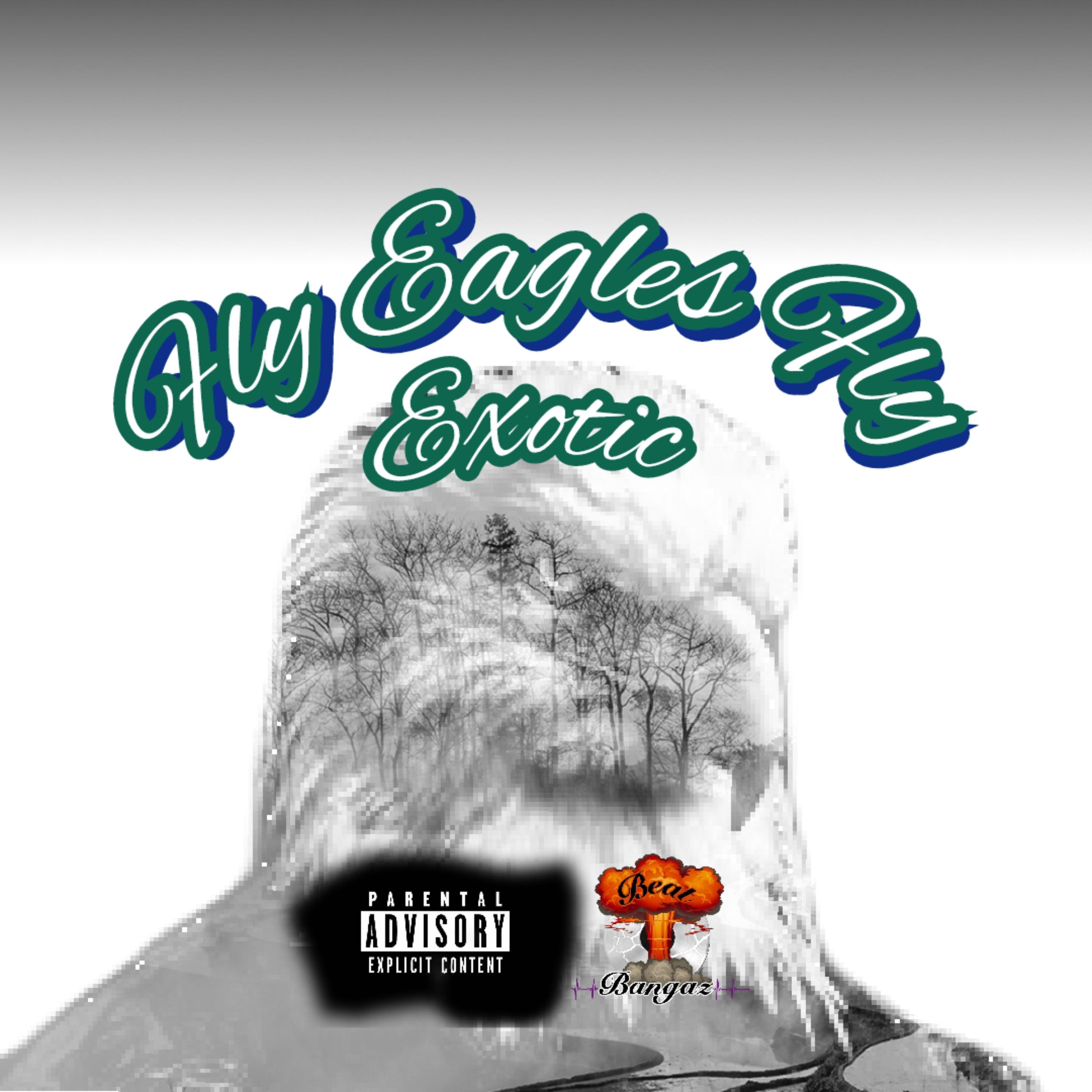 Fly Eagles Fly artwork