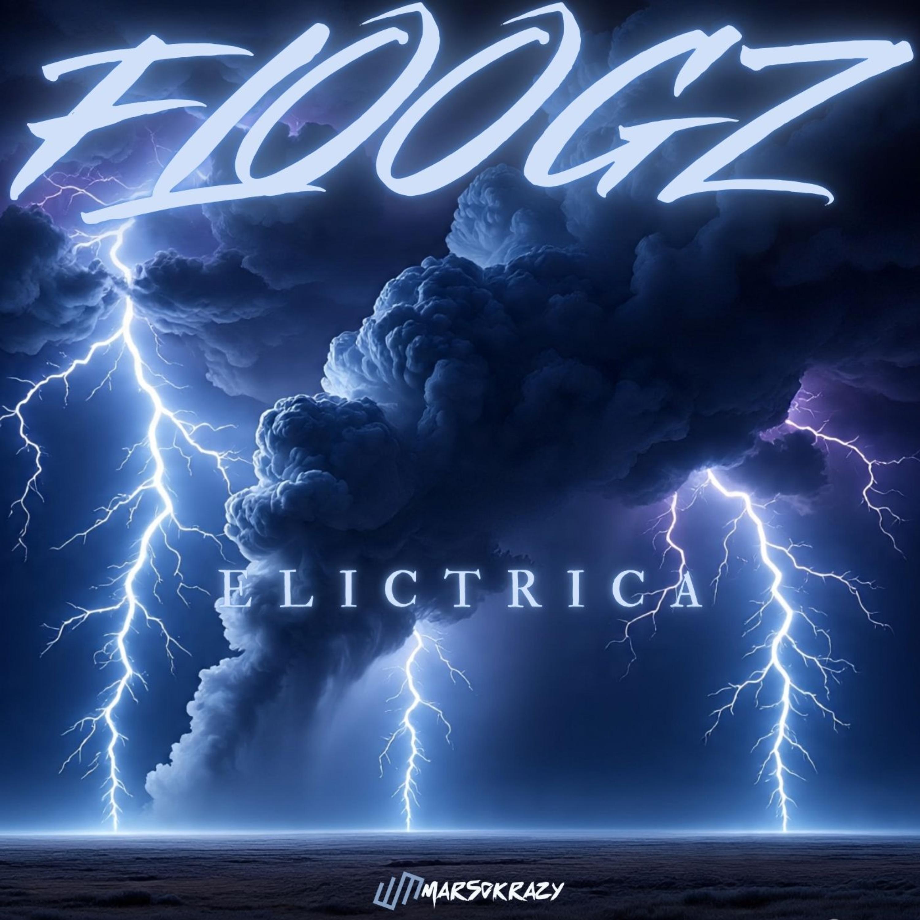 FLOOGZ ELECTRICA artwork