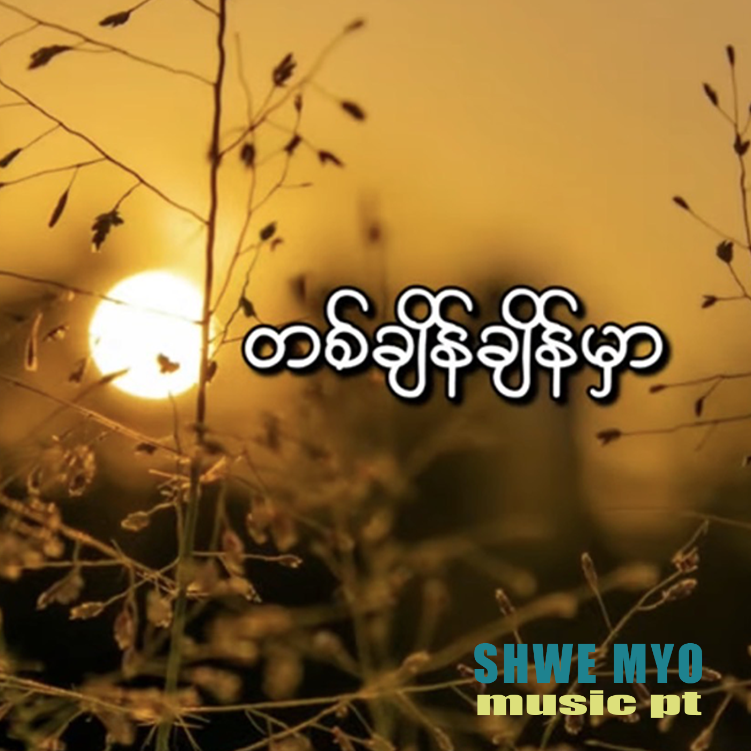 တစ်ချိန်ချိန်မှာ artwork