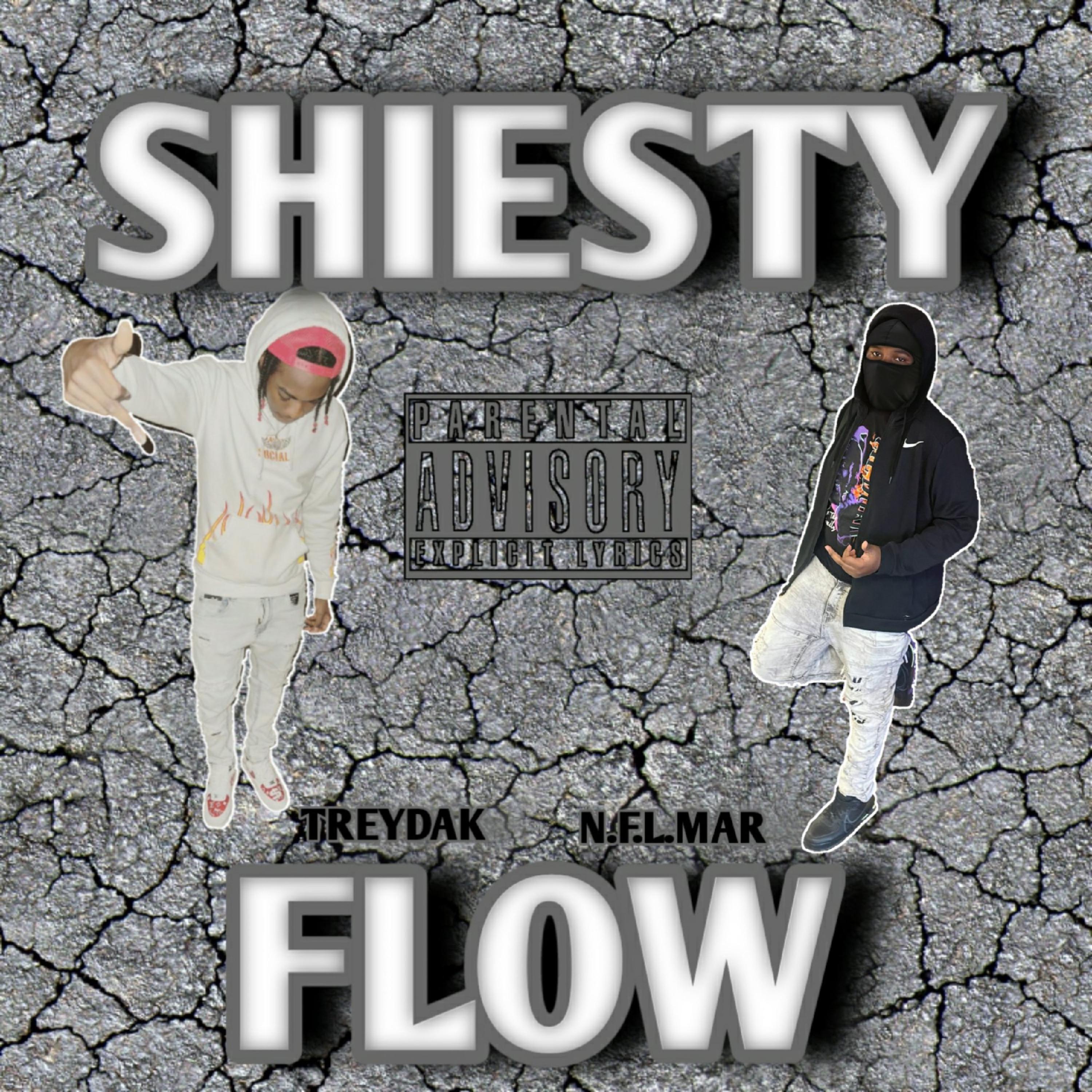 Shiesty Flow by N.F.L.Mar cover art