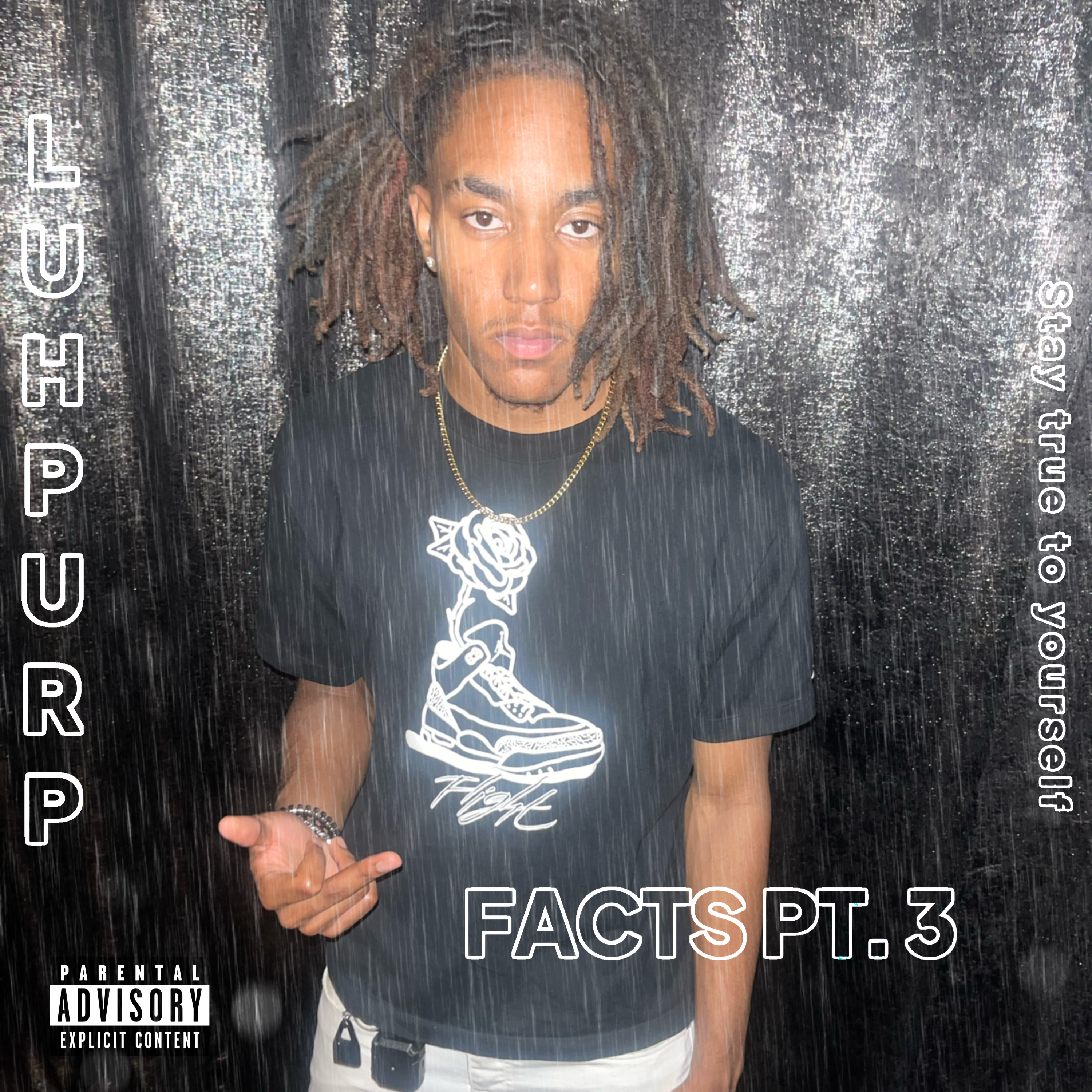 FACTS PT. 3 artwork