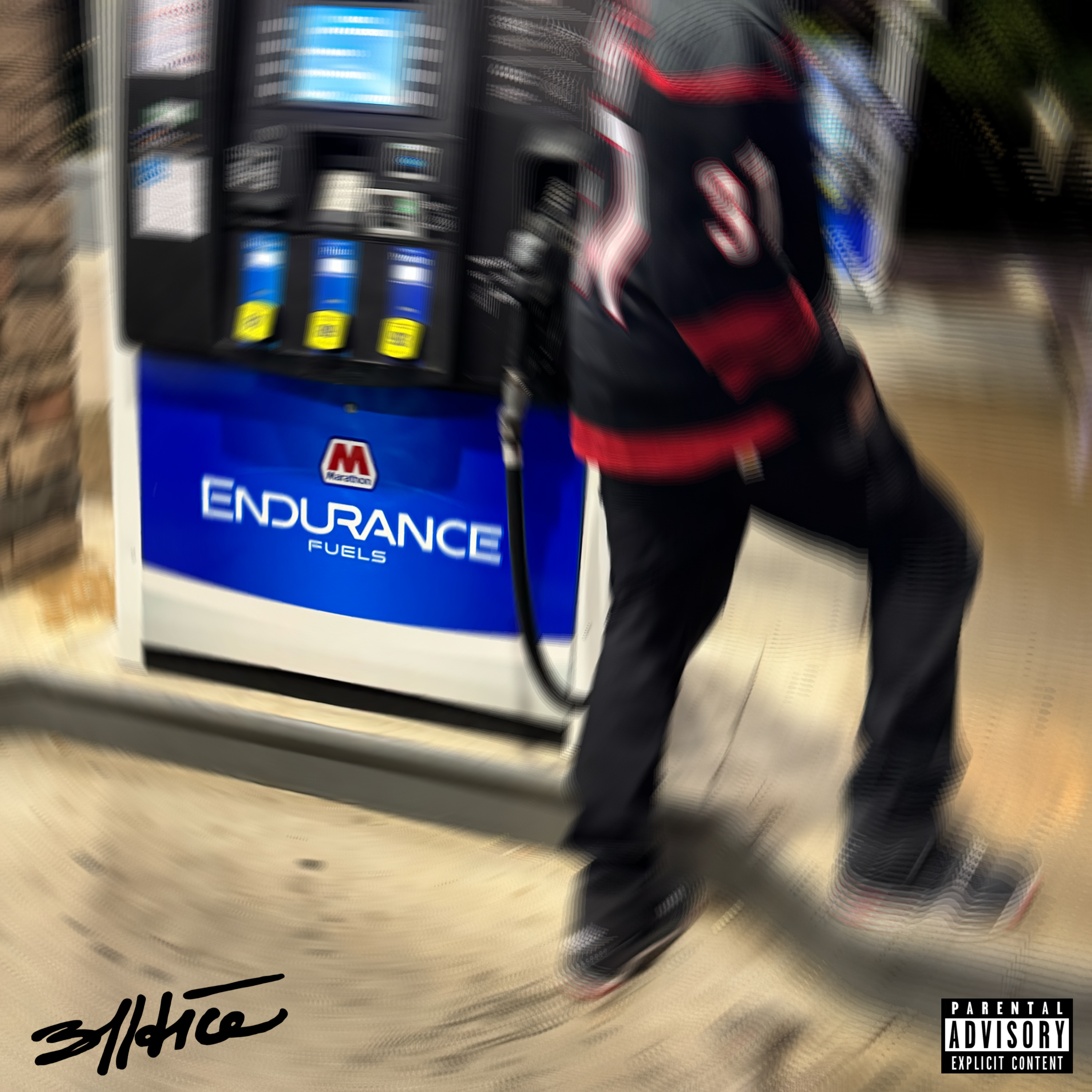 ENDURANCE by 311dice