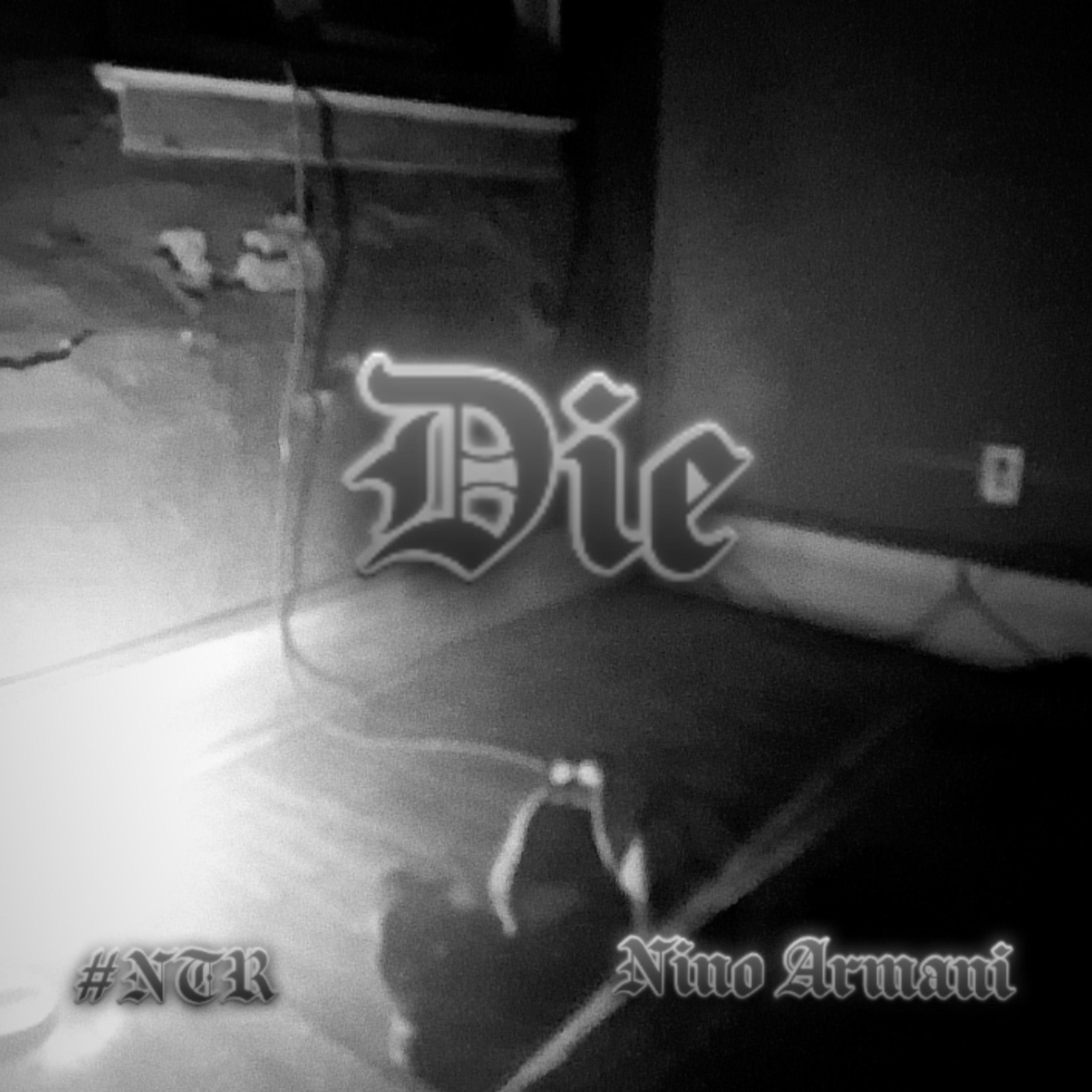 DIE by Nino Armani cover art