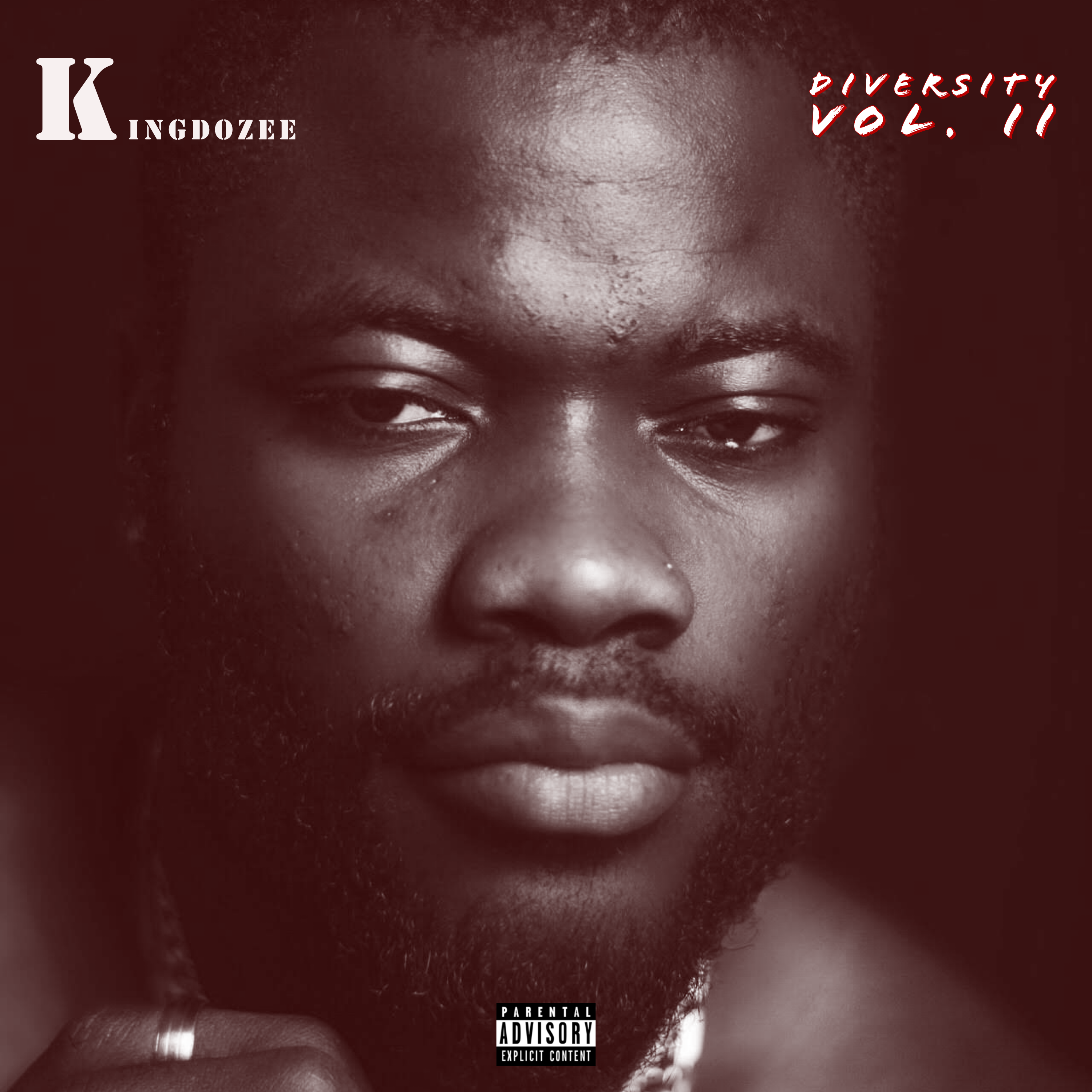 Diversity, Vol. 2 artwork