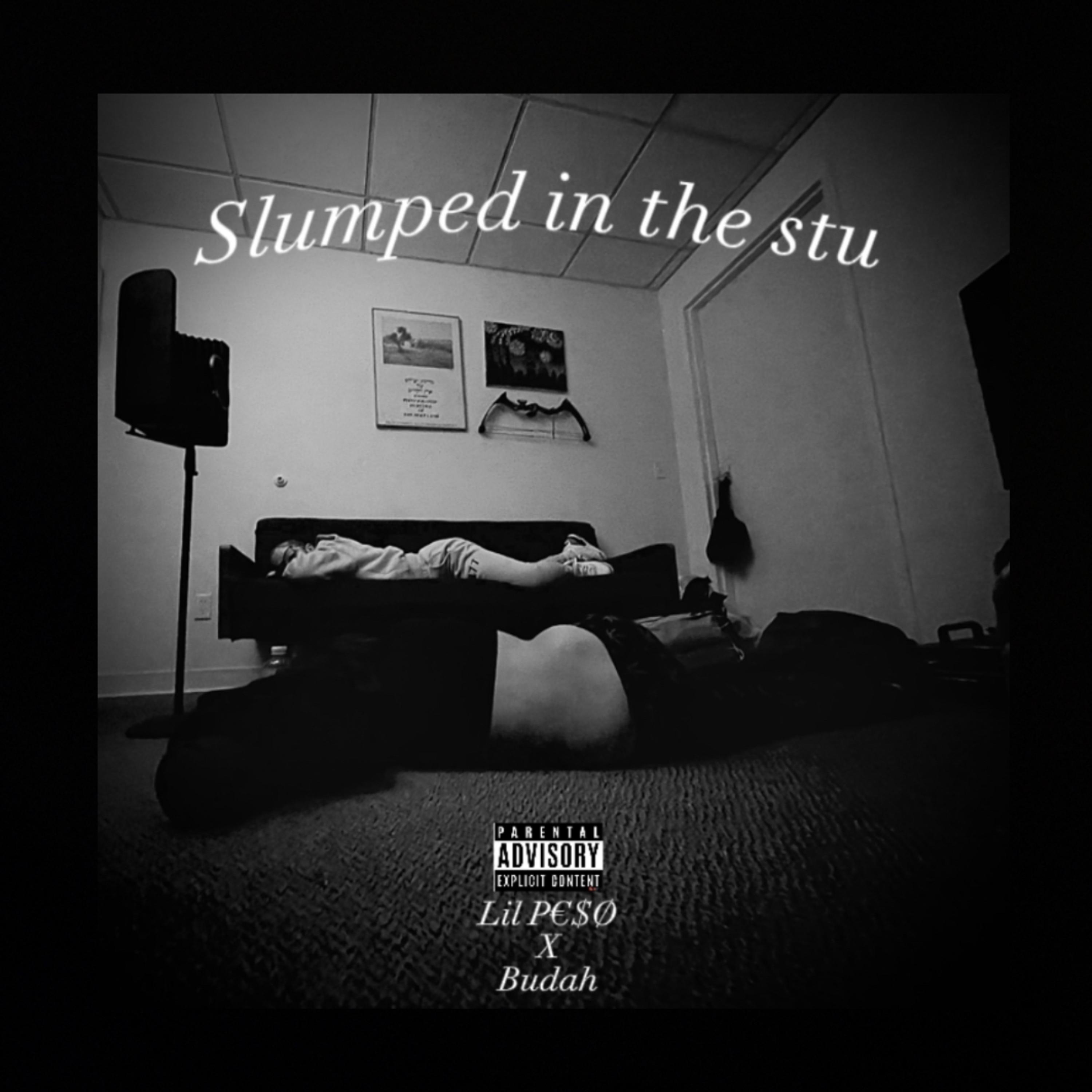 Slumped In The Stu artwork