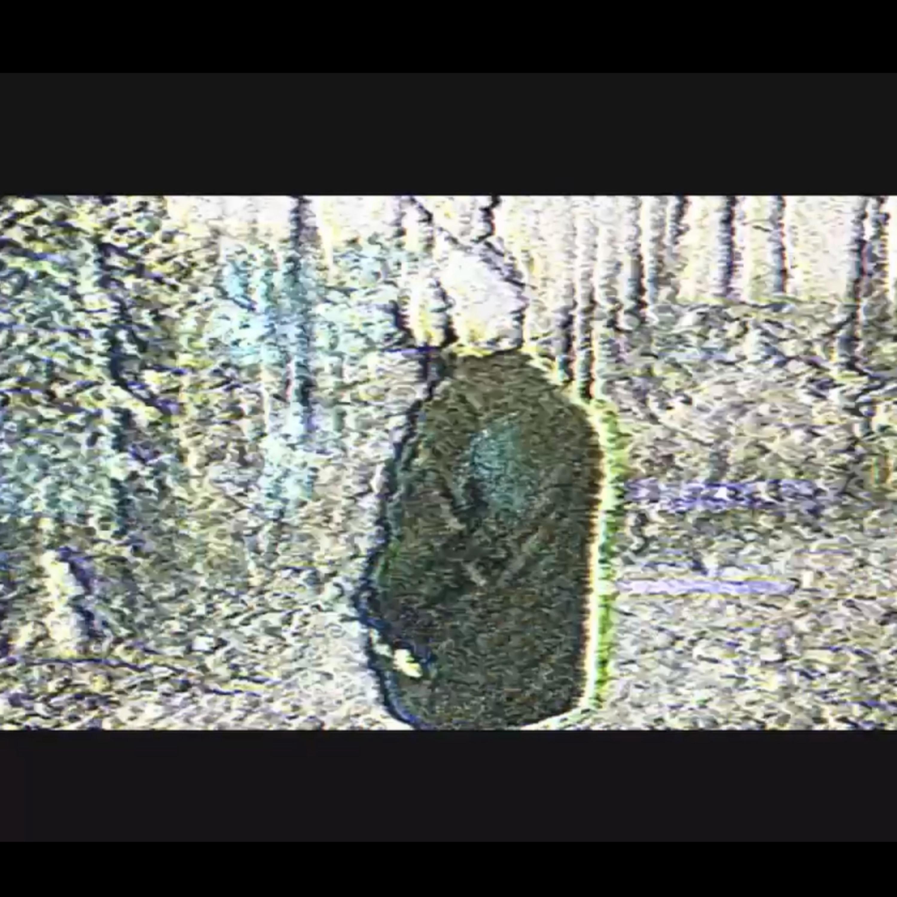UnknownDon’tBelong artwork