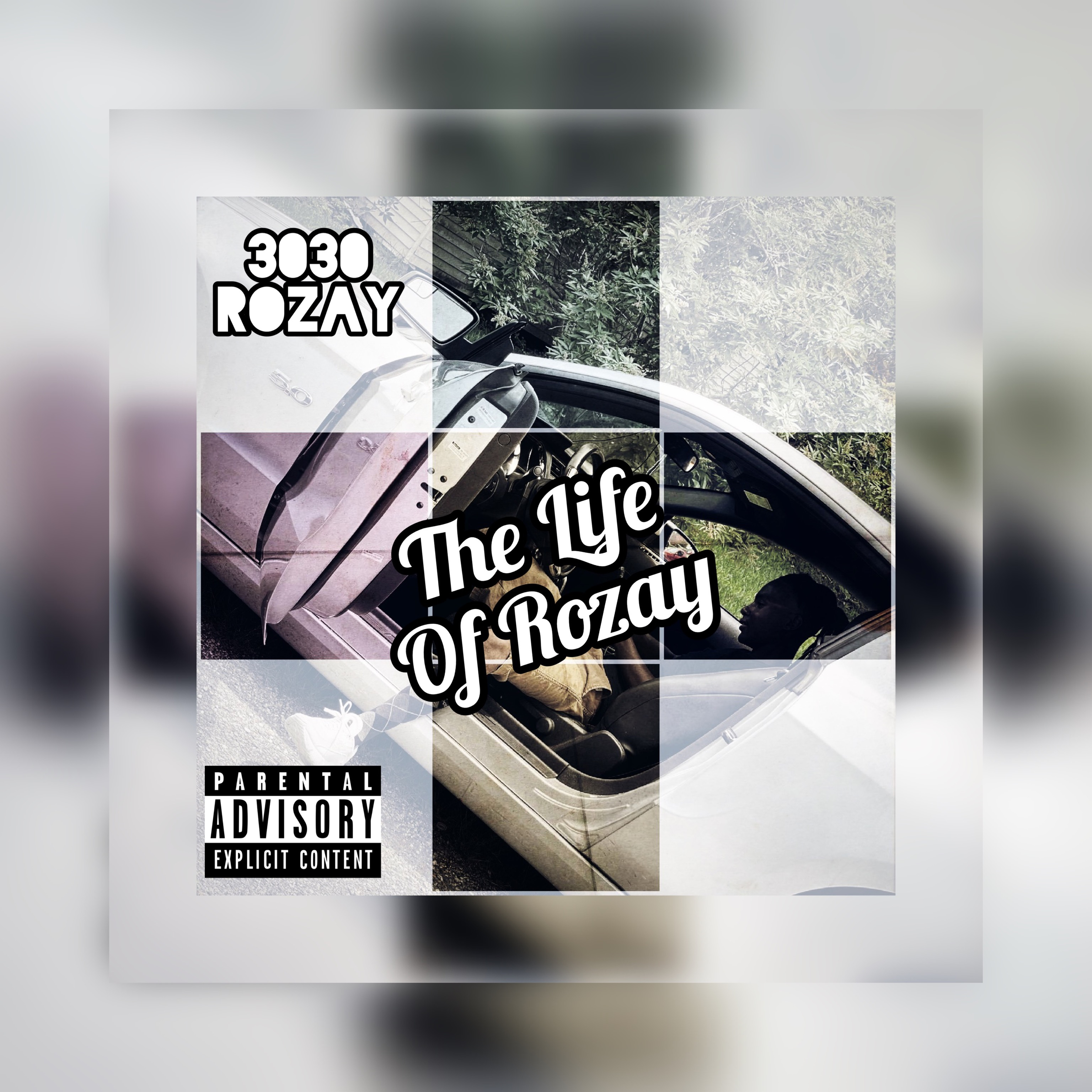 The Life Of Rozay artwork
